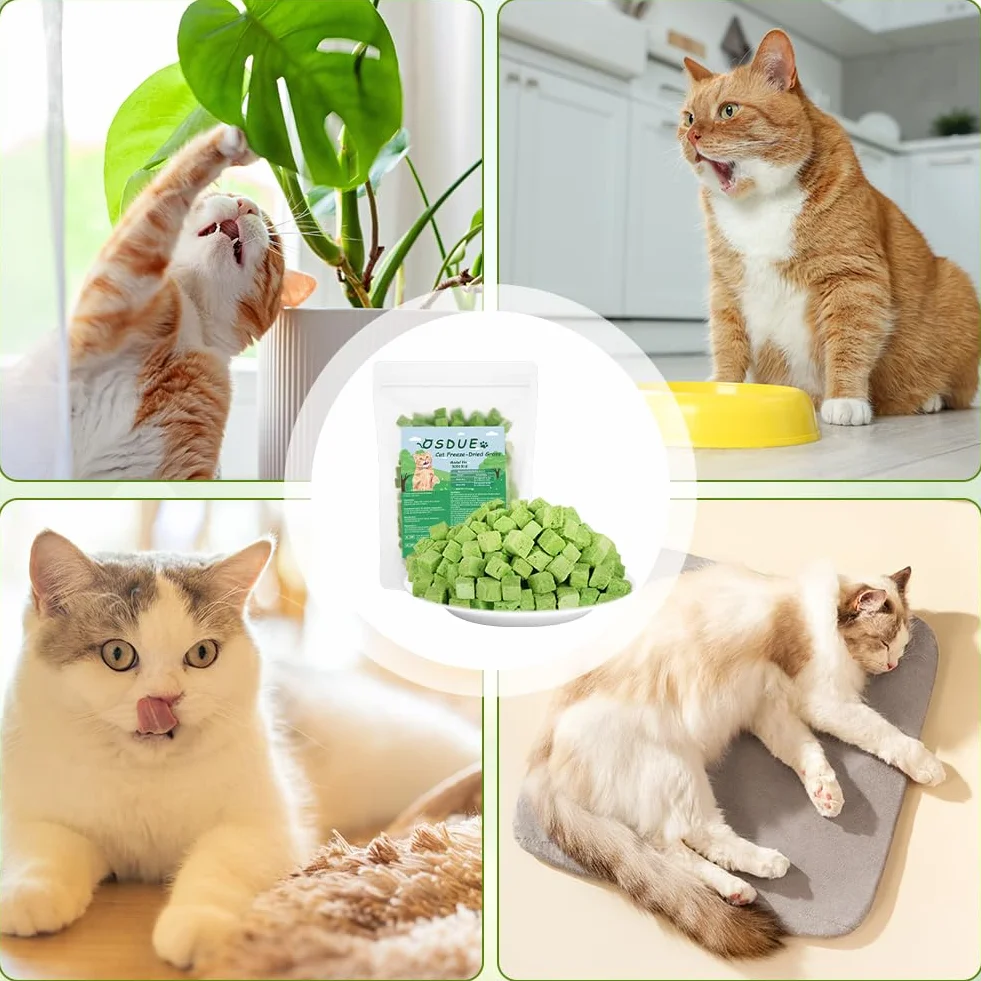 OSDUE Golosina de Hierba Gatera para Gatos, 100g Snack Liofilizado con Hierba Gatera para Limpiar los Dientes, Palillo Masticable para Gatos Favorecer Digestión y Absorción, Cat Grass Teething Stick