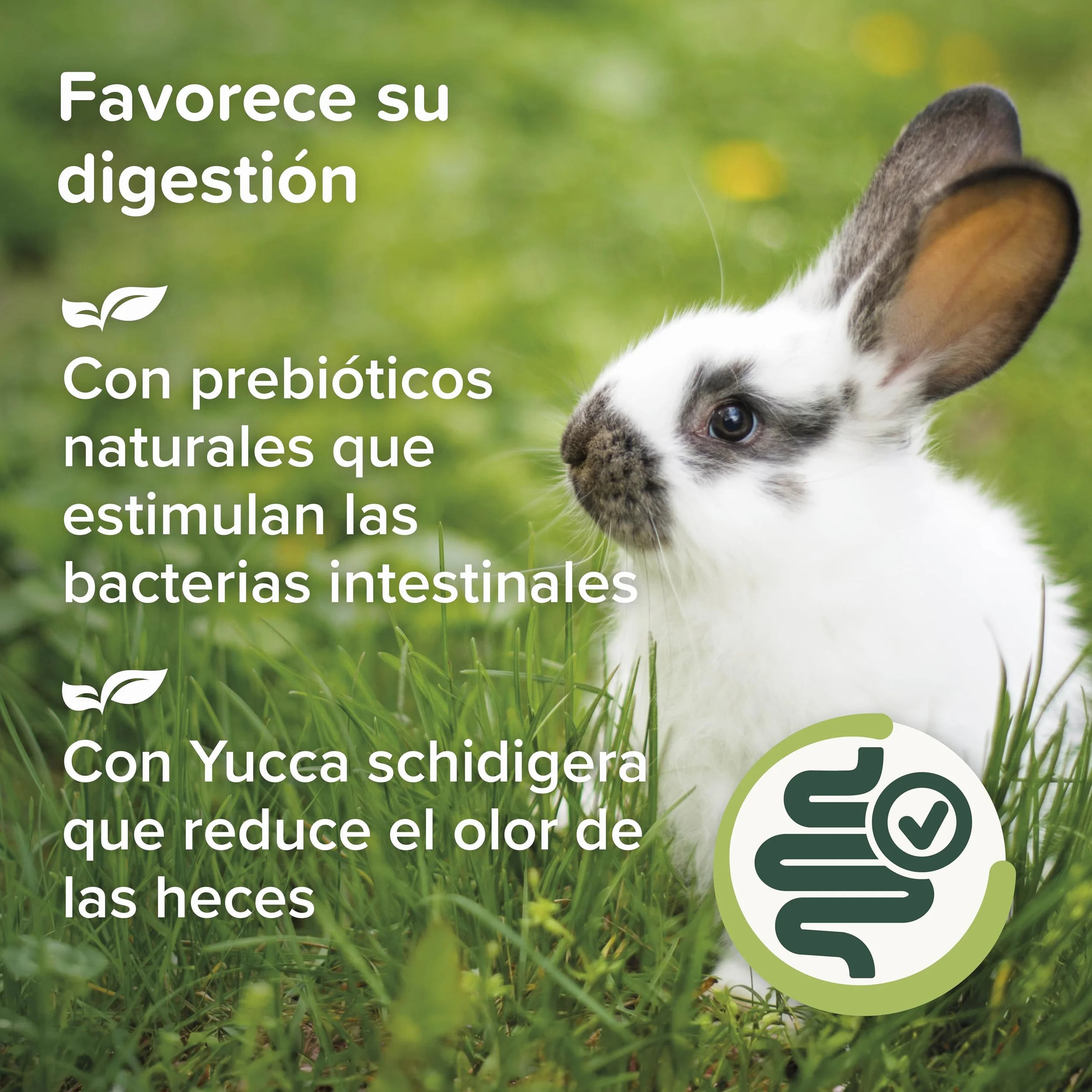 Beaphar Care+® Nature Conejo - Alimento Natural para Conejos sin Cereales, Rico en Fibra y heno Timothy - pellets Todo en uno - 1,5 kg