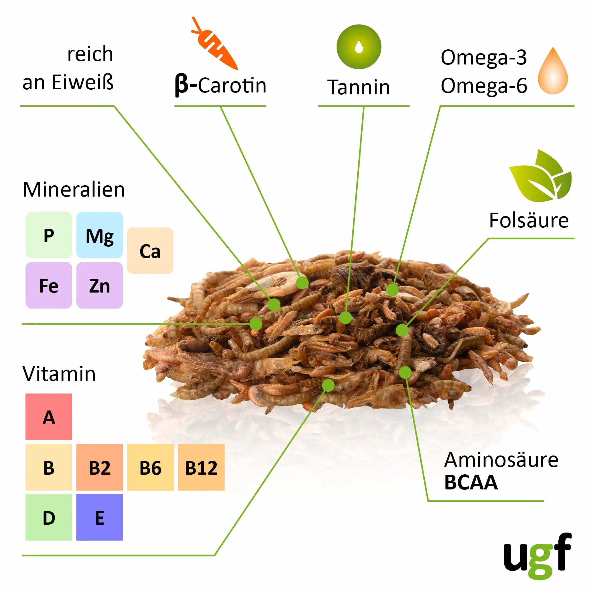 UGF - Mezcla Universal de alimento para Tortugas - 500 g en un Cubo de 3 litros, alimento equilibrado para Tortugas, gammarus, Gusanos de Seda, Gusanos de la harina, camarones y Pescado seco