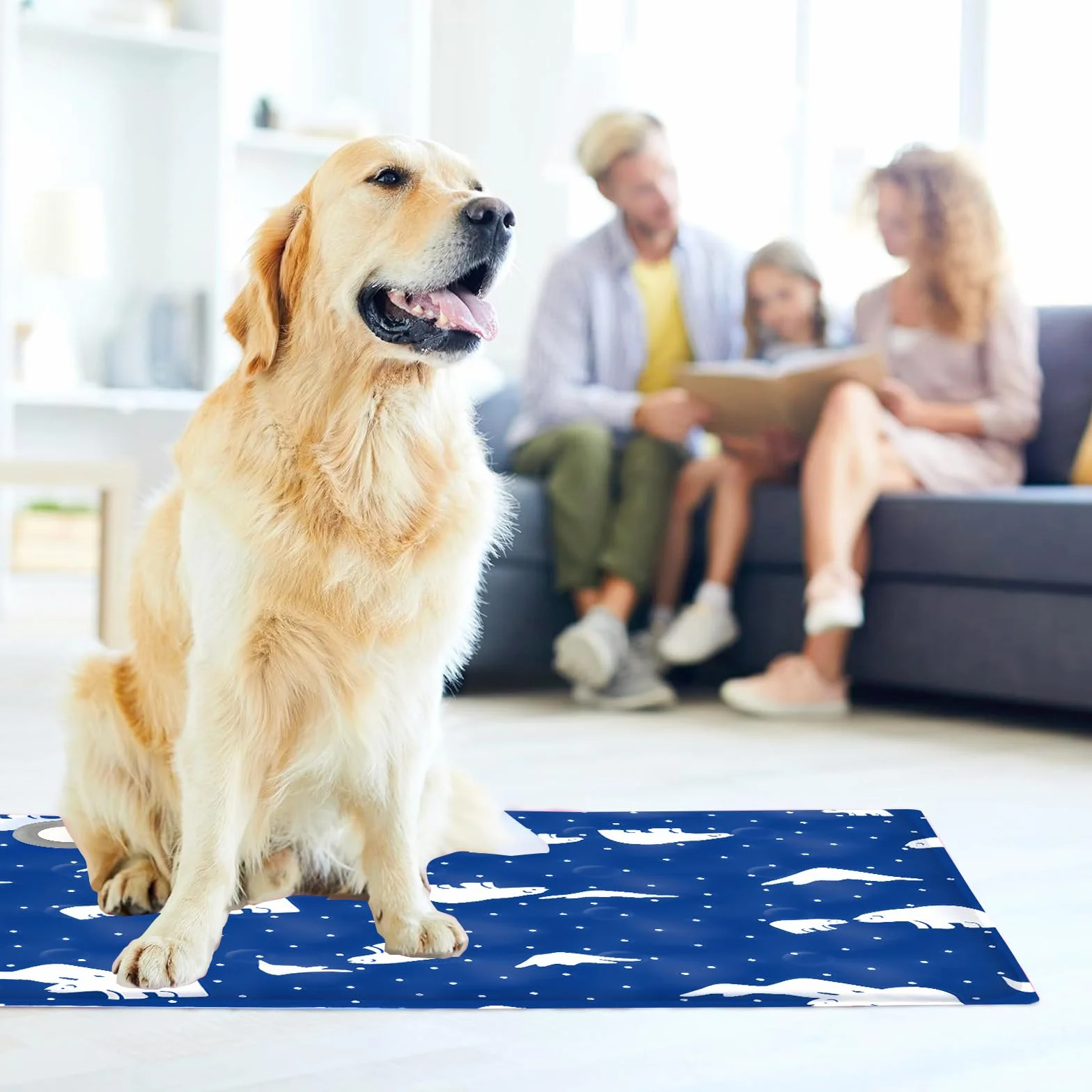Alfombra Refrescante para Perros Gatos,Mascotas Alfombrilla Autoenfriante,Cama Refrescante Perro Inyección De Agua,Cama Gat Frio Animales Colchon Mascotas para Verano,40x50cm,M,Oso de hielo azul real