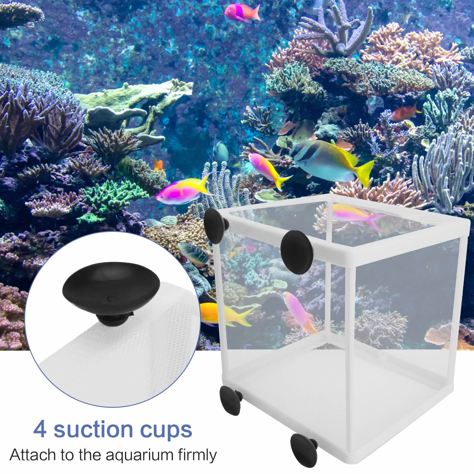 2Pcs Caja de Cría e Incubadora de Peces para Acuario - Aislamiento Con Ventosas y Red de Protección para Bebés