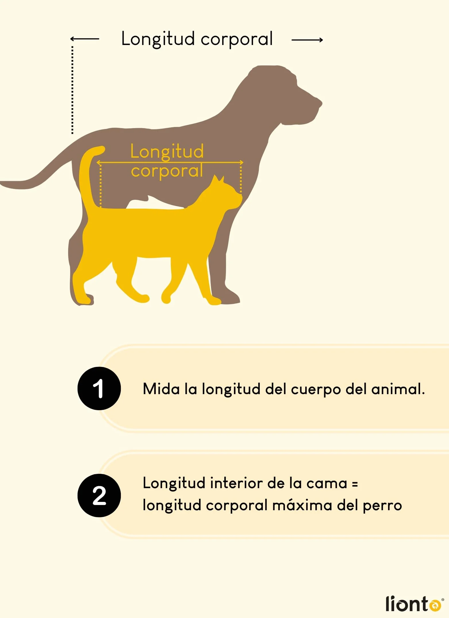 Lionto Cama Redonda para Perros con Forma de Donut, Cojín Sofá, 55 cm Ø Gris