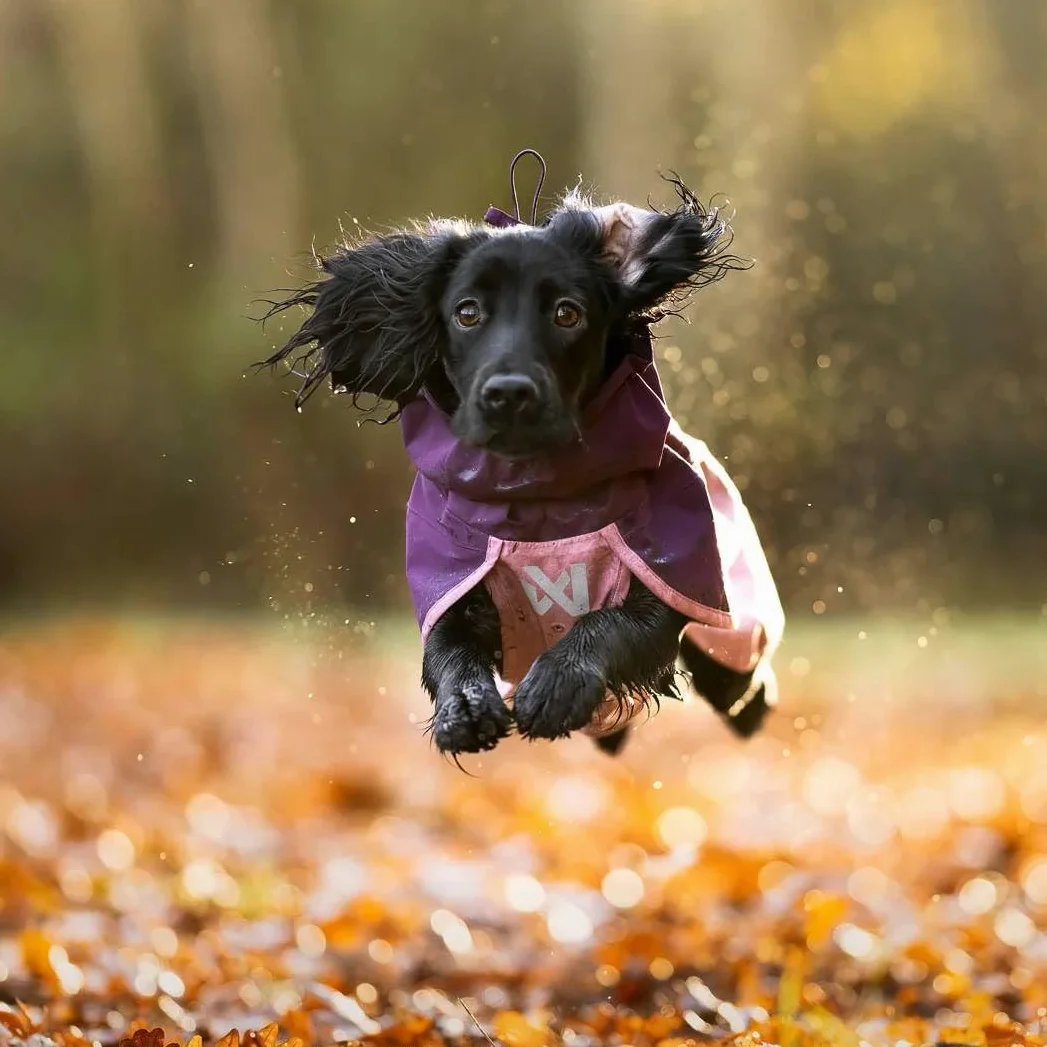 Non-Stop Dogwear Fjord Raincoat 2.0 Impermeable para Perros, Negro/Naranja, Talla 40, Resistente al Viento y Agua, Material Reciclado, Poliéster
