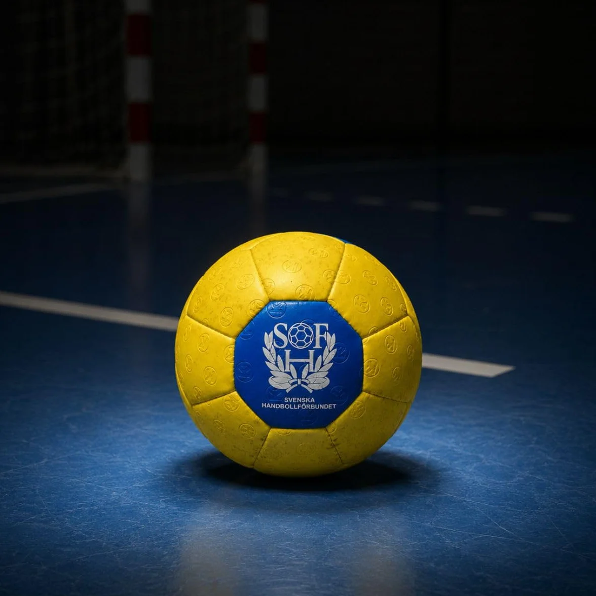 Kempa Spectrum Synergy Plus Pelota de Balonmano 30 Paneles Partido Entrenamiento