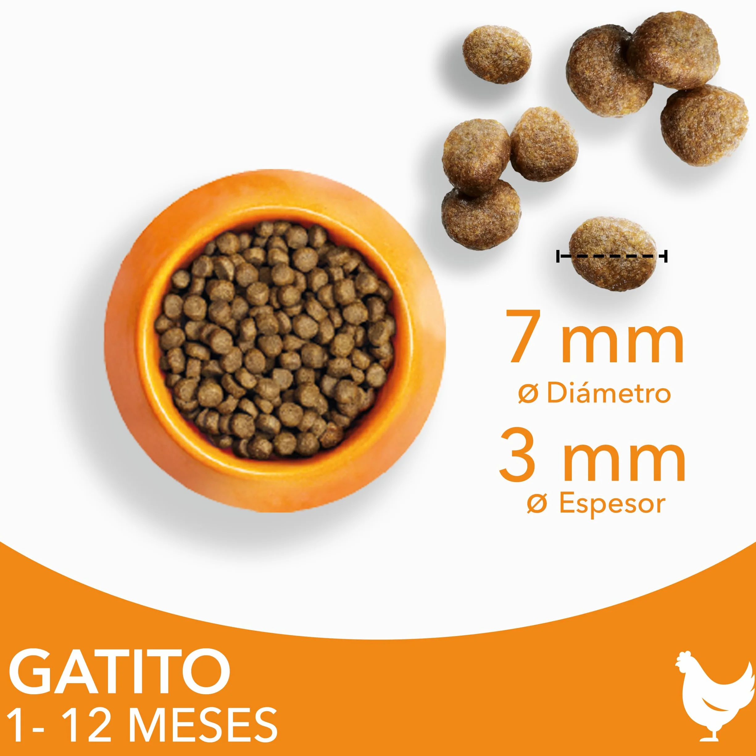 IAMS Alimento seco para gatitos junior de 1-12 meses con pollo fresco, 3 kg