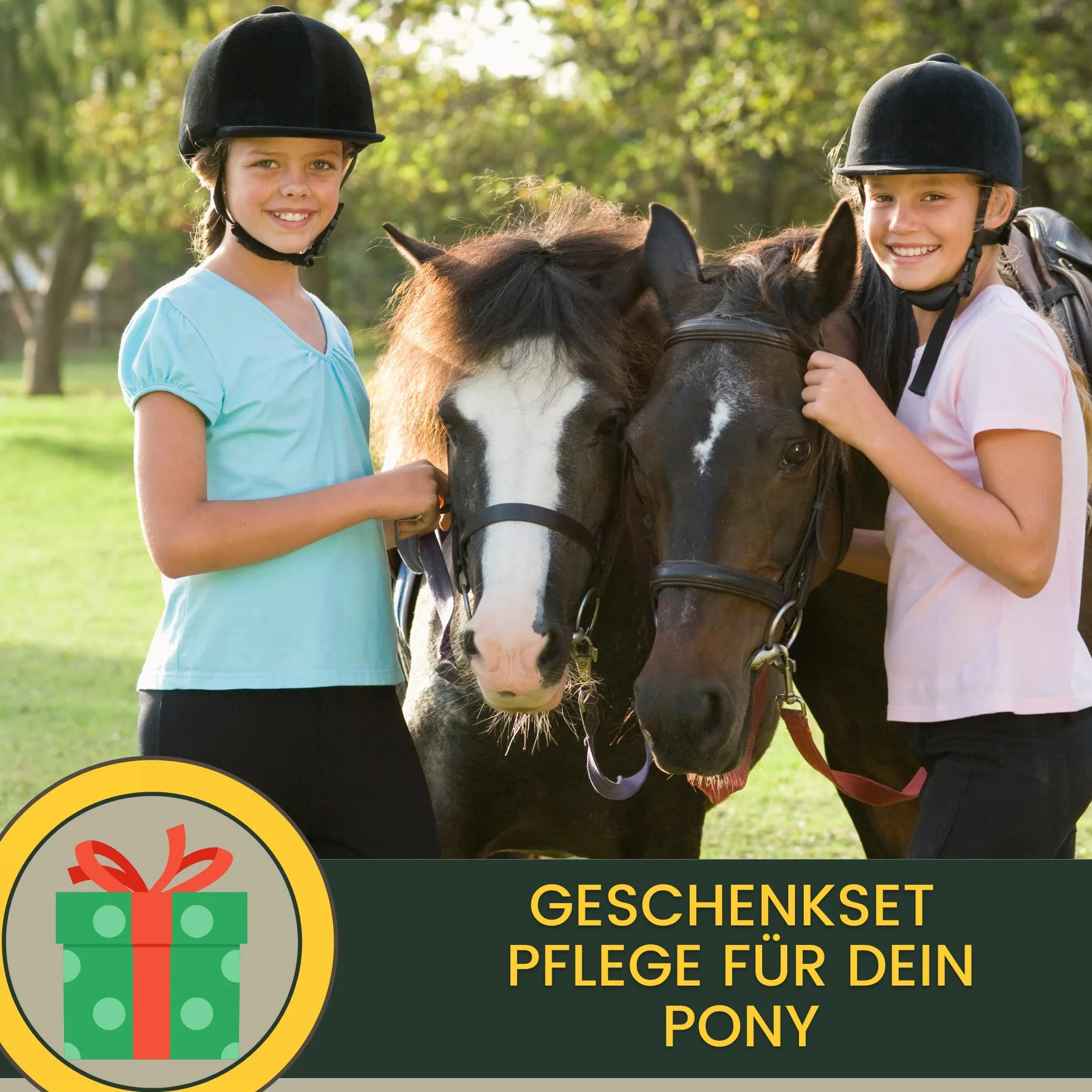 Spray de Purpurina - Spray de Crin para Caballos I Grasa para Cascos con Purpurina I Golosinas para Caballos Champú para Caballos Juego de 4 pz Spray de Cola Golosinas para Caballos 400gr 500ml 250ml
