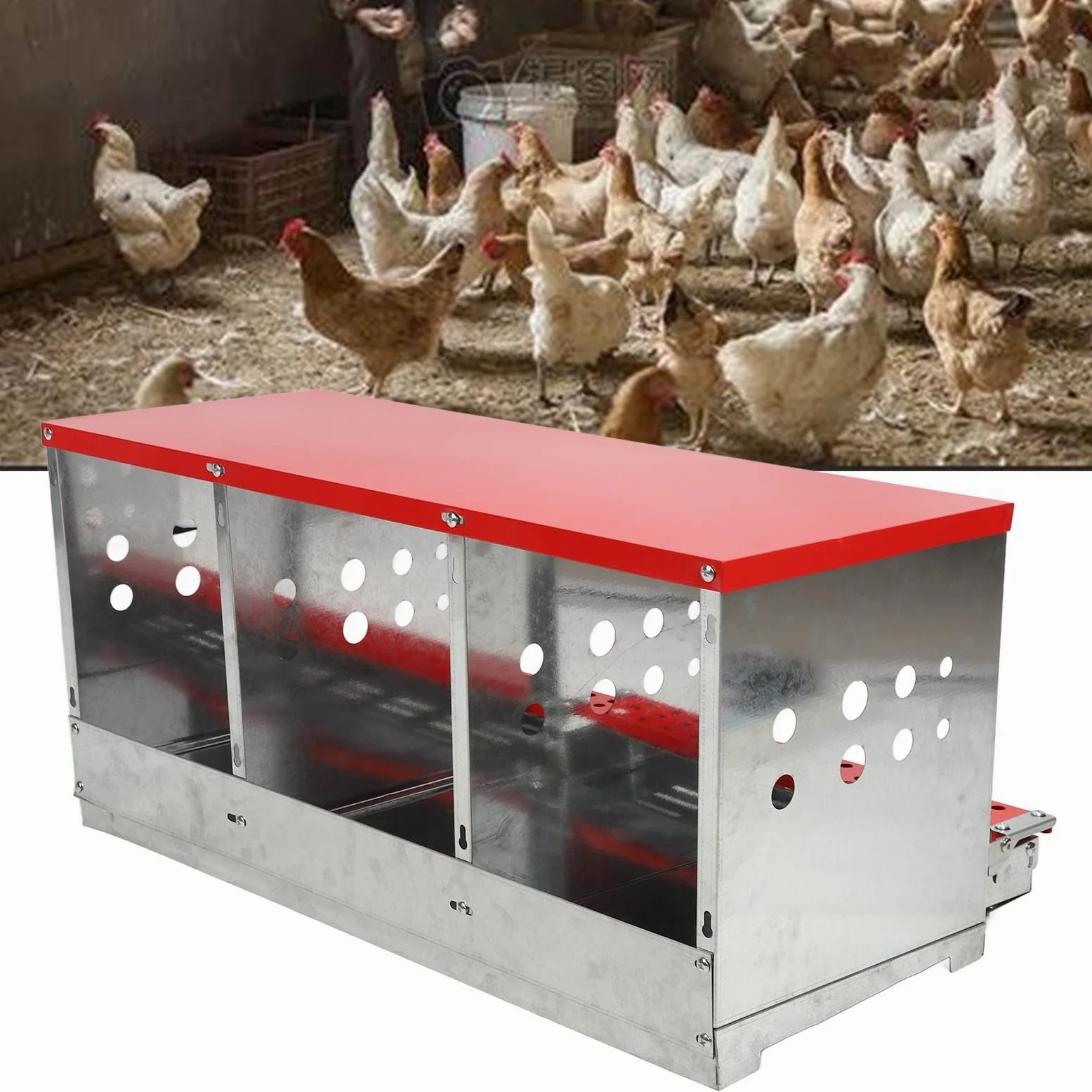 Nido para Gallinas, áreas de Anidación Más Grandes, Fácil Recolección de Huevos, Resistente y Ventilada, Placa de Hierro Galvanizado, 84x33,2x38,8 Cm, para Gallinas Ponedoras y