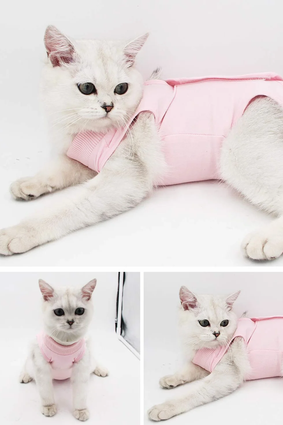 Traje de recuperación Profesional para Gatos, Gata Camiseta de recuperación, heridas Abdominales Profesional para heridas, de recuperación quirúrgica Ropa Chaleco de pequeños Gatos (M, Rosado)