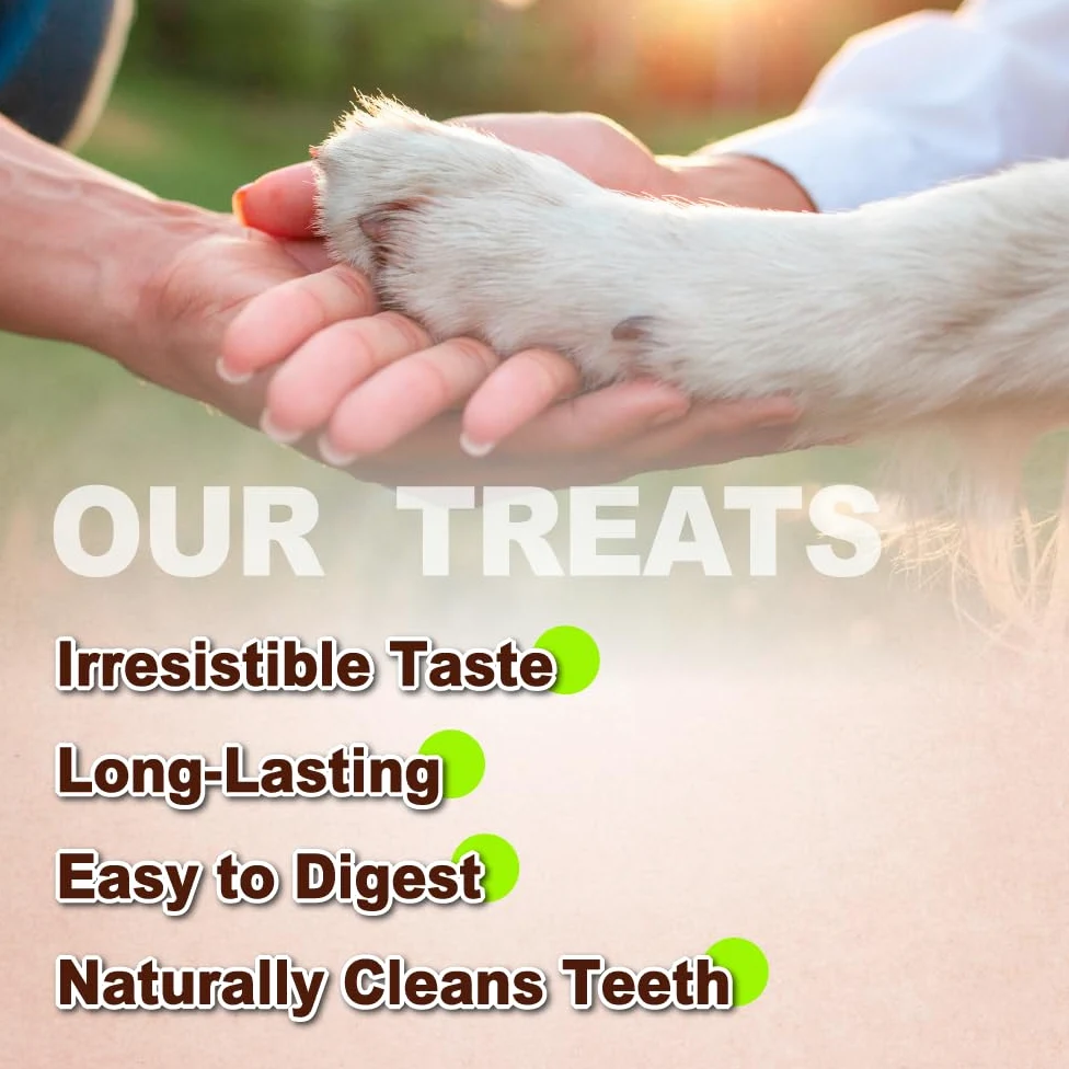 A Freschi srl Tendón de Pavo Afreschi para Perros, Cuerda Mediana, Paquete de 3, 89 G, Pavo de Origen Estadounidense, Masticable Totalmente Natural de Grado Humano, Hipoalergénico, Alternativa Al Cuer