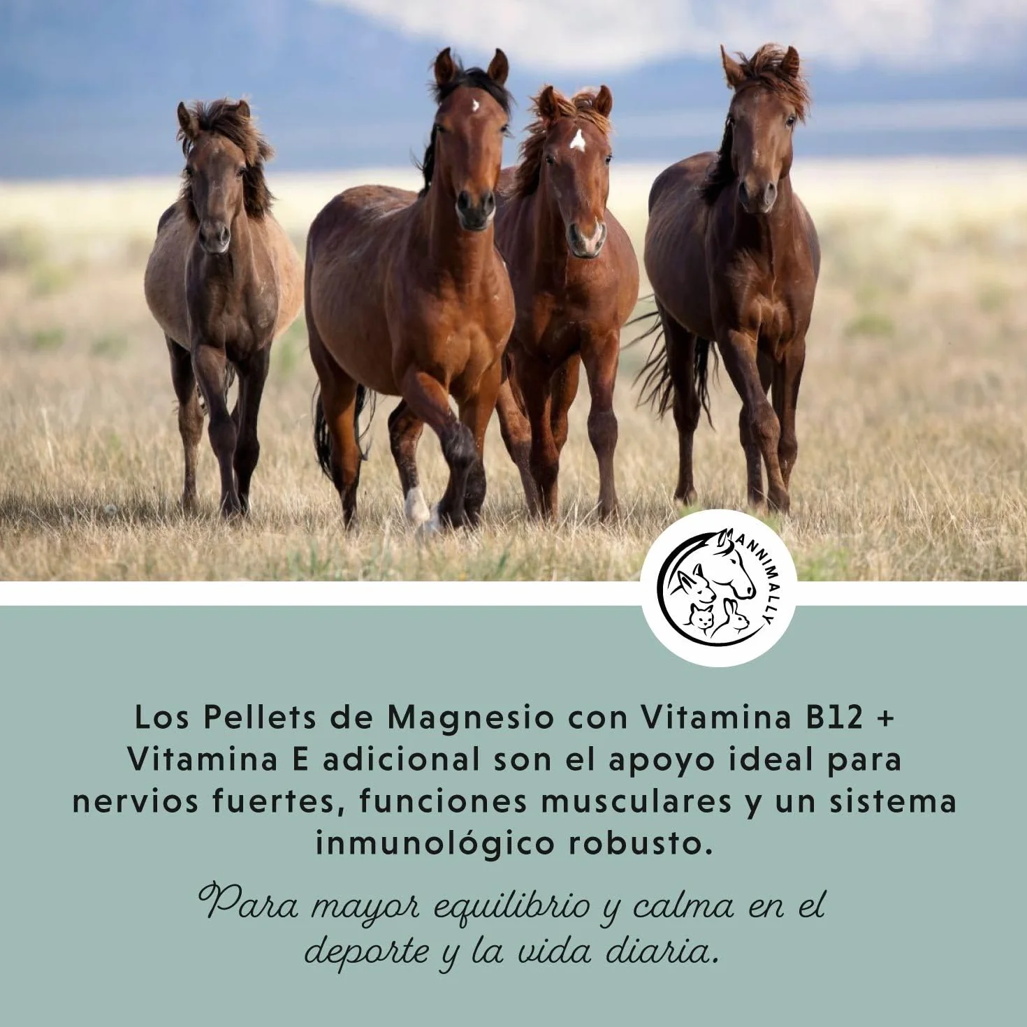 Annimally Pellets de Magnesio para Caballos 1 kg - Acetato de Magnesio y Óxido de Magnesio para una máxima biodisponibilidad