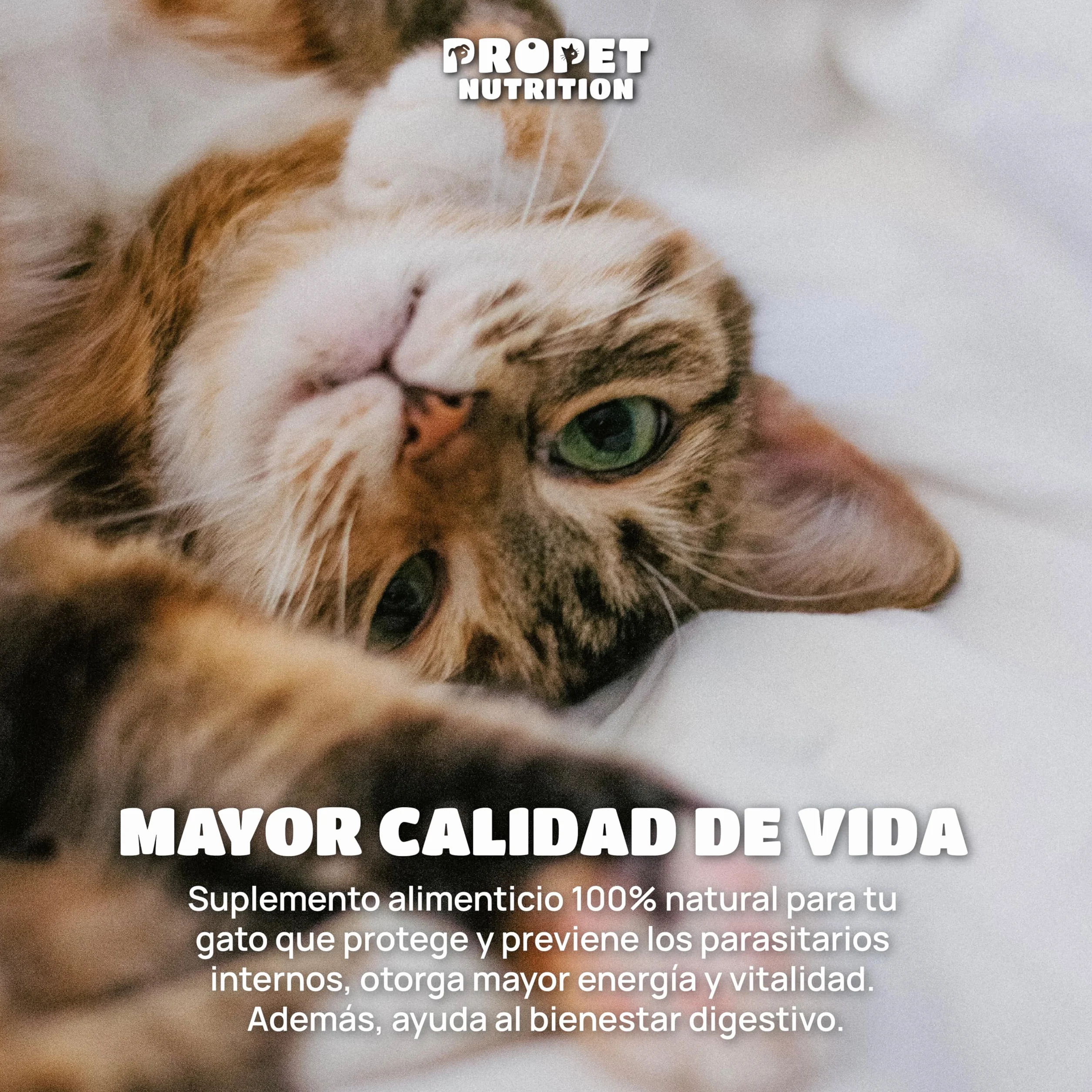 Desparasitente Gatos Interno. 100% Natural. 120 Dosis. 12 Plantas de Rápida Absorción y Eficacia. con Malta, Vitaminas y Probióticos. Antiparasitario Gatos. Desaparasita, Repara y Previene