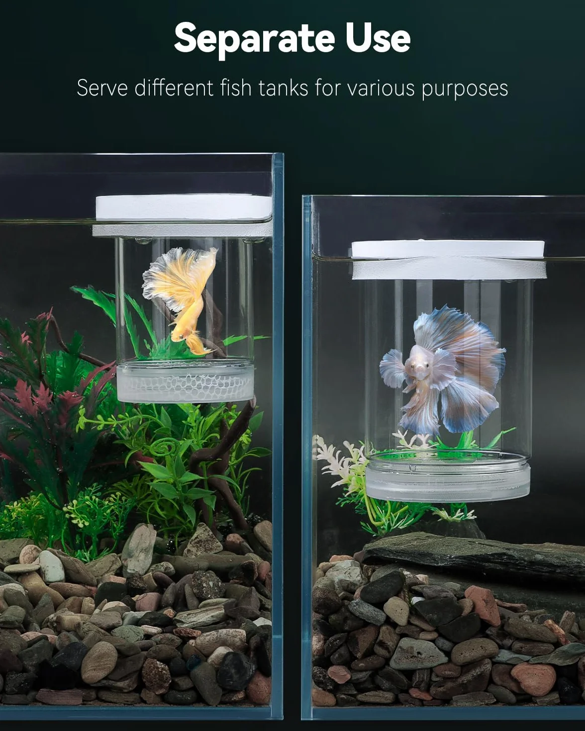 Pawfly Caja de Cría para Acuario, Pecera de Reproducción Flotante para Guppys, Separador para Alevines, Incubadora de Plástico para Camarones, Betta y Pez Payaso, Mediana