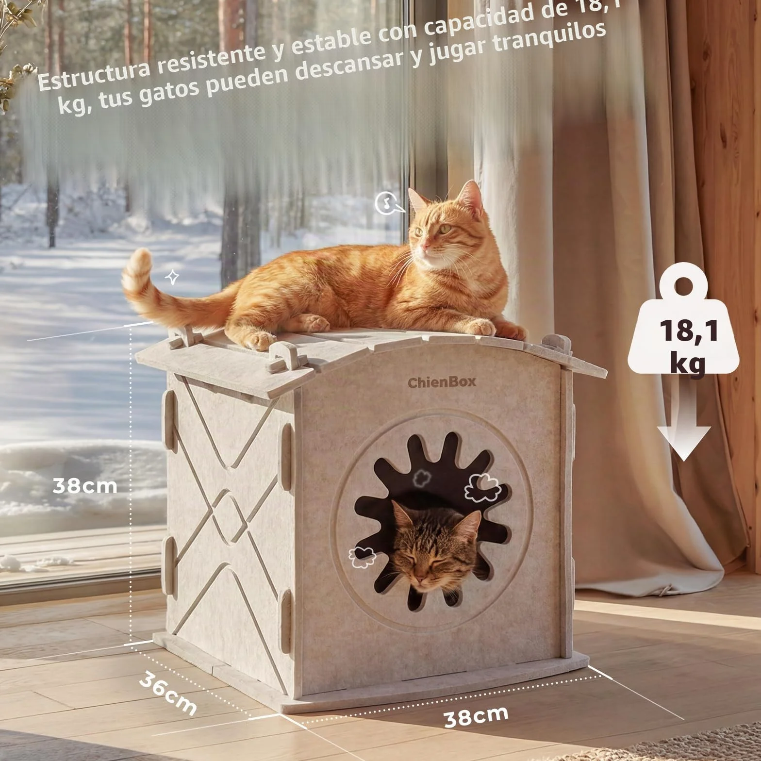 Casa para Gatos Interior de Fieltro: Cálida Cueva para Gatos Invierno, Casa Gatos Robusta, Casa Gato con Entrada Rascadora, Cama para Gatos Fácil de Limpiar y Montar, Cueva Gato 38x36x38cm