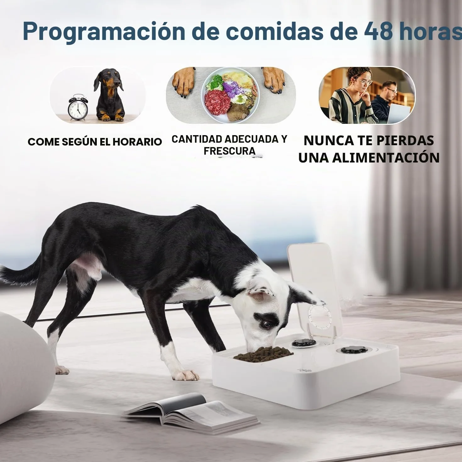 ALL FOR PAWS Comedero automático para gatos y perros de 2 comidas - Dispensador de alimentos secos y húmedos, temporizador de 48 horas, paquete de hielo incluido, apto para lavavajillas, blanco