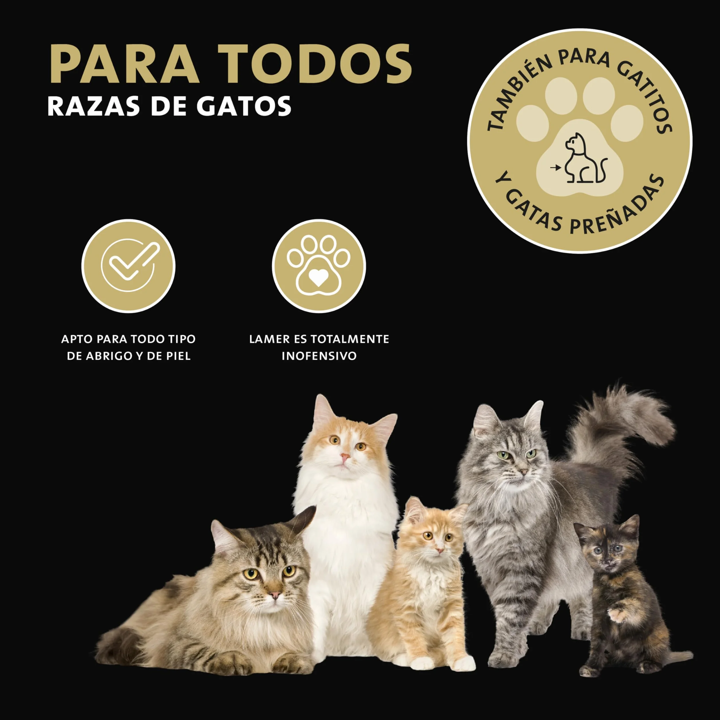 Peticare Gato Aceite de Cuidado Limpiador para Acaros del Oido y Anti-Parasitos - Gotas de Tratamiento, Limpia Eficazmente Orejas, Detiene Otitis Parasitaria - petCat Health 3011