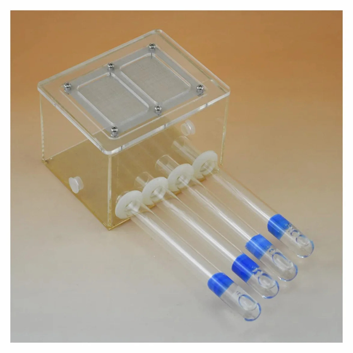 KXCR Educativas Formicarium 4 Tubo De Ensayo Hormigas Nido DIY Granja Hormigas, Hormiguero Acrilico Ant Caja Hábitat AntHouse Carcasa Hormiga Casa Mascota Regalo (Color : Box+Test Tube)