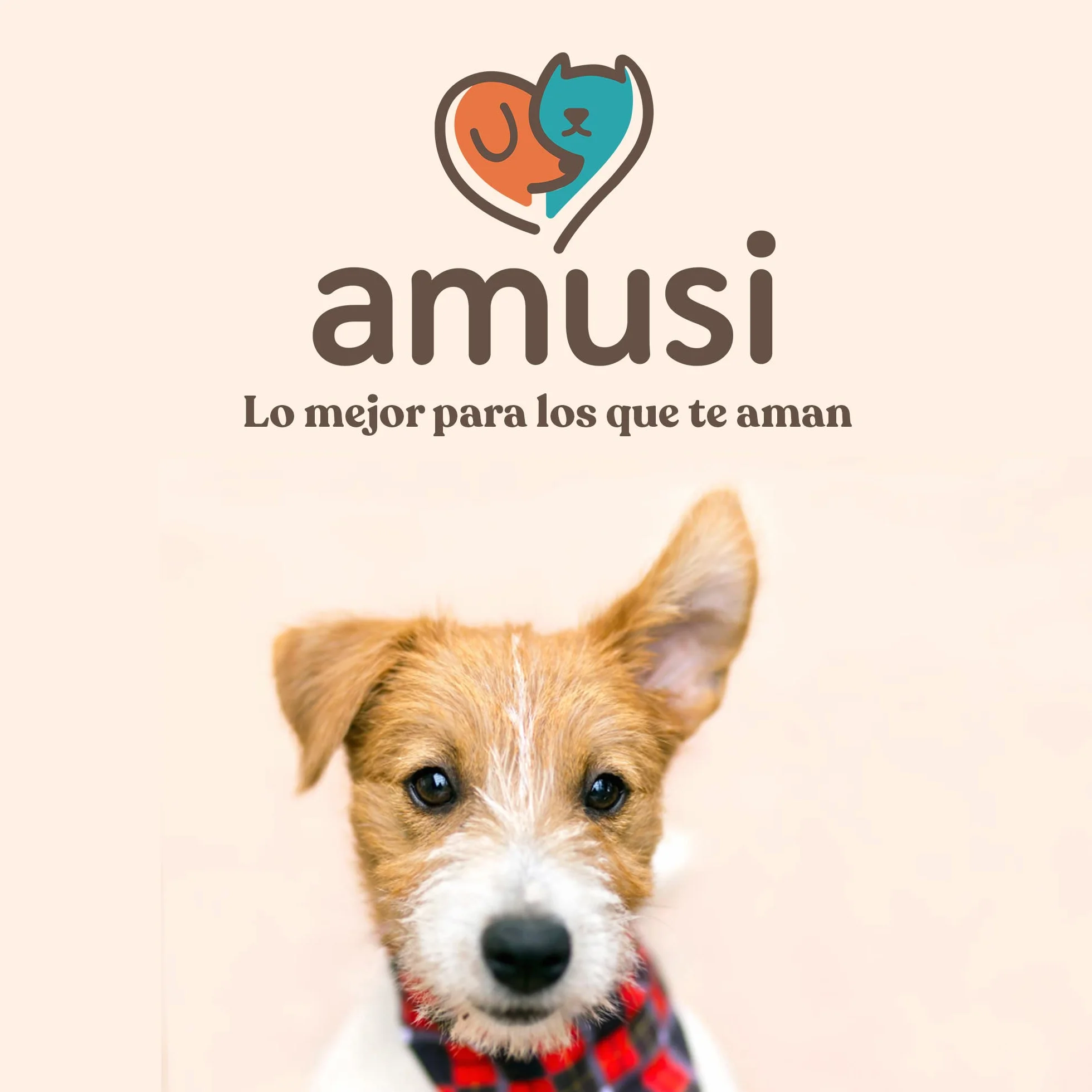 amusi Aceite de Neem para Perros - 500 ml - Anti Insectos - Spray Antipulgas Perros - contra Garrapatas Pulgas Mosquitos Moscas Ácaros Piojos - Anti Pulgas