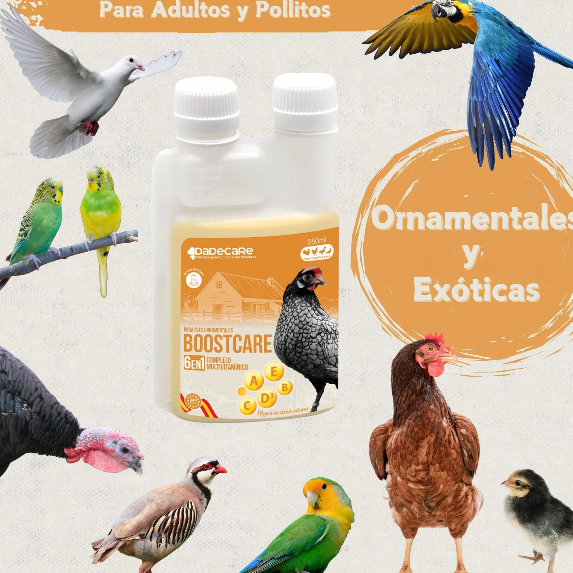 Multivitamínico 6 en 1 250ml Aves | Vitaminas A-E-D-C-B| Pienso Complementario para Bebedero Gallinas, Pollos, Palomas, Loros y Periquitos con Dosificador - Boostcare