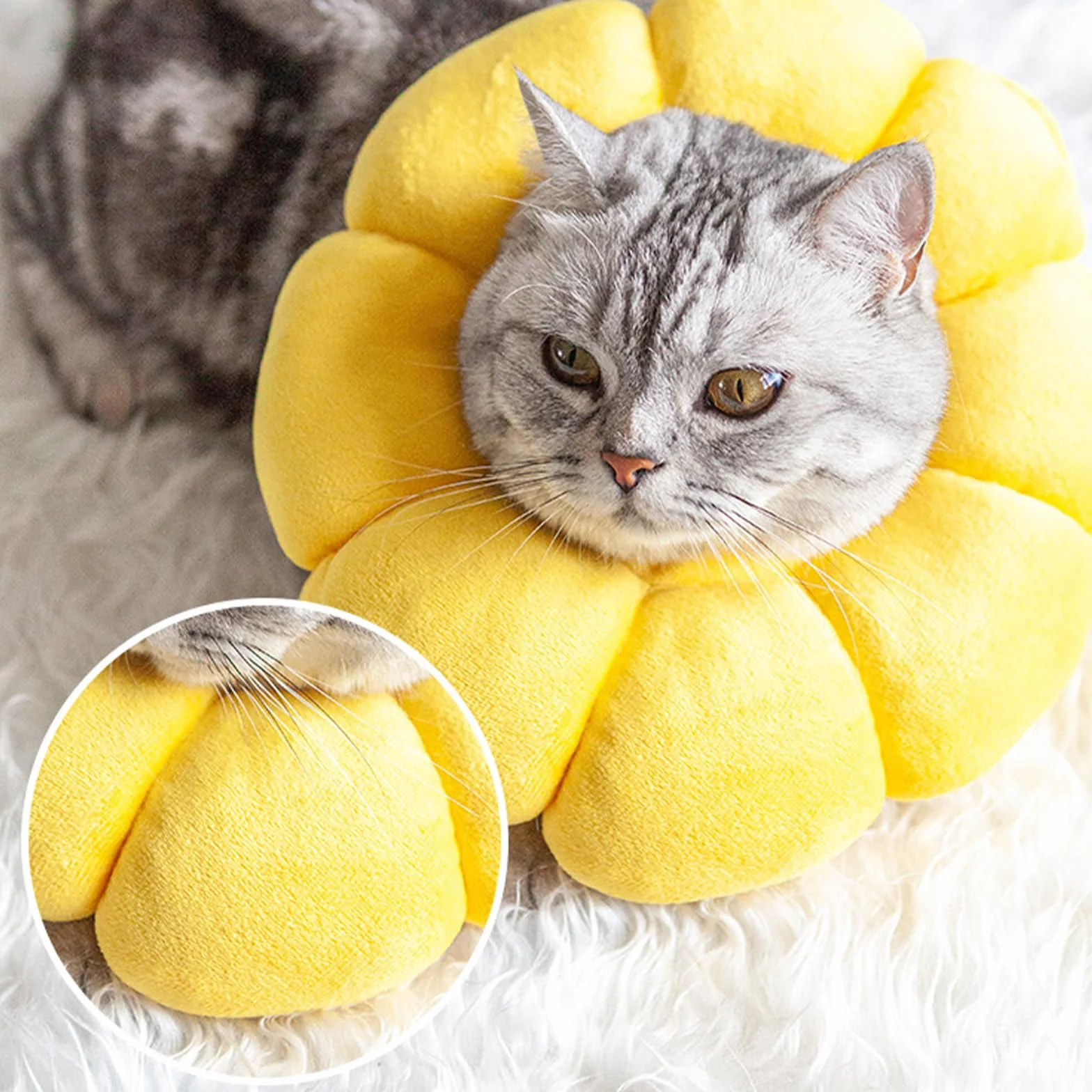 Newpop Collar Isabelino Gato, Collares Protector para Gatos, Collarin Gato de Girasol, Cono Suave del Cuello Mascotas, para Gatitos Perros Pequeños Cicatrización de Heridas Después de una Operación(M)