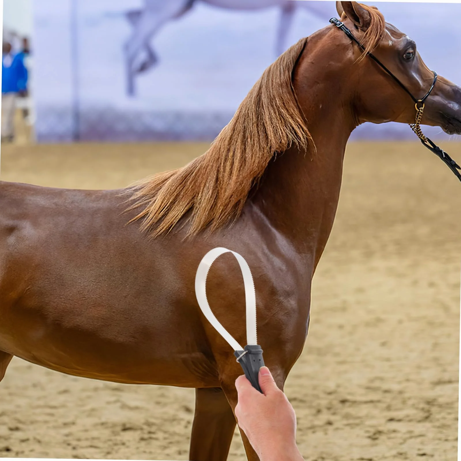 Cepillo de Pelo de Caballo con Raspador de Acero Inoxidable 11.81x3.74x0.59 Pulgadas
