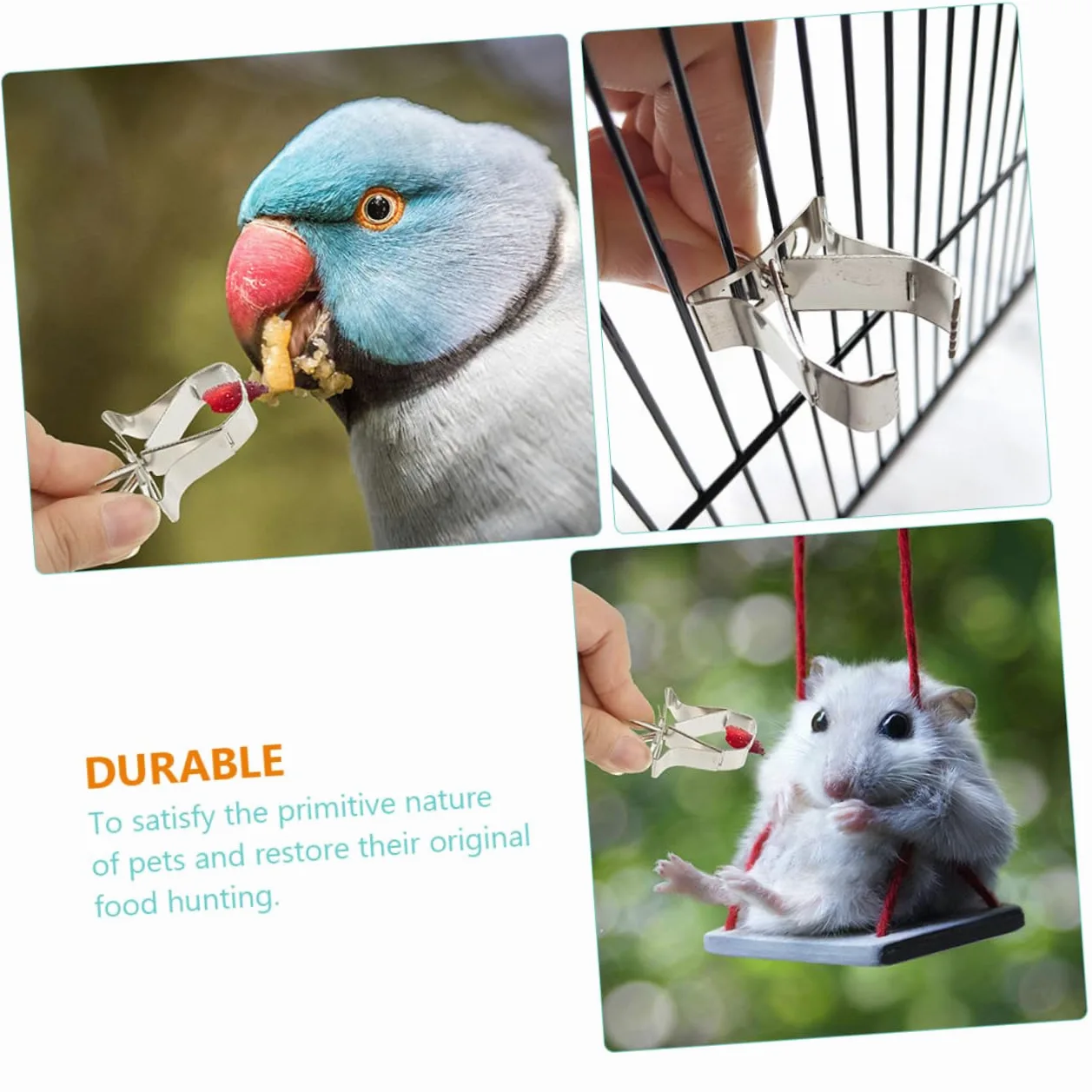Yardwe 30piezas Soporte De Alimentos para Pájaros Inoxidable Clips para Jaulas para Alimentación De Periquitos y Aves