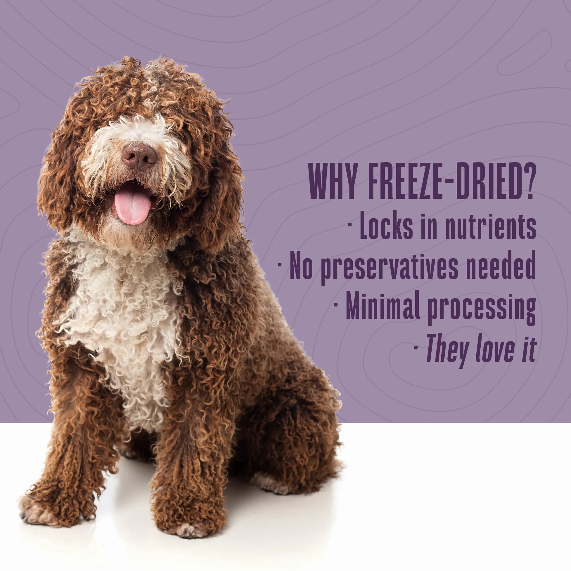 Toda la Vida Mascota Sola ingrediente Estados Unidos Freeze Dried Pollo Mama Treats Value Pack para Perros Y Gatos, 235 ml