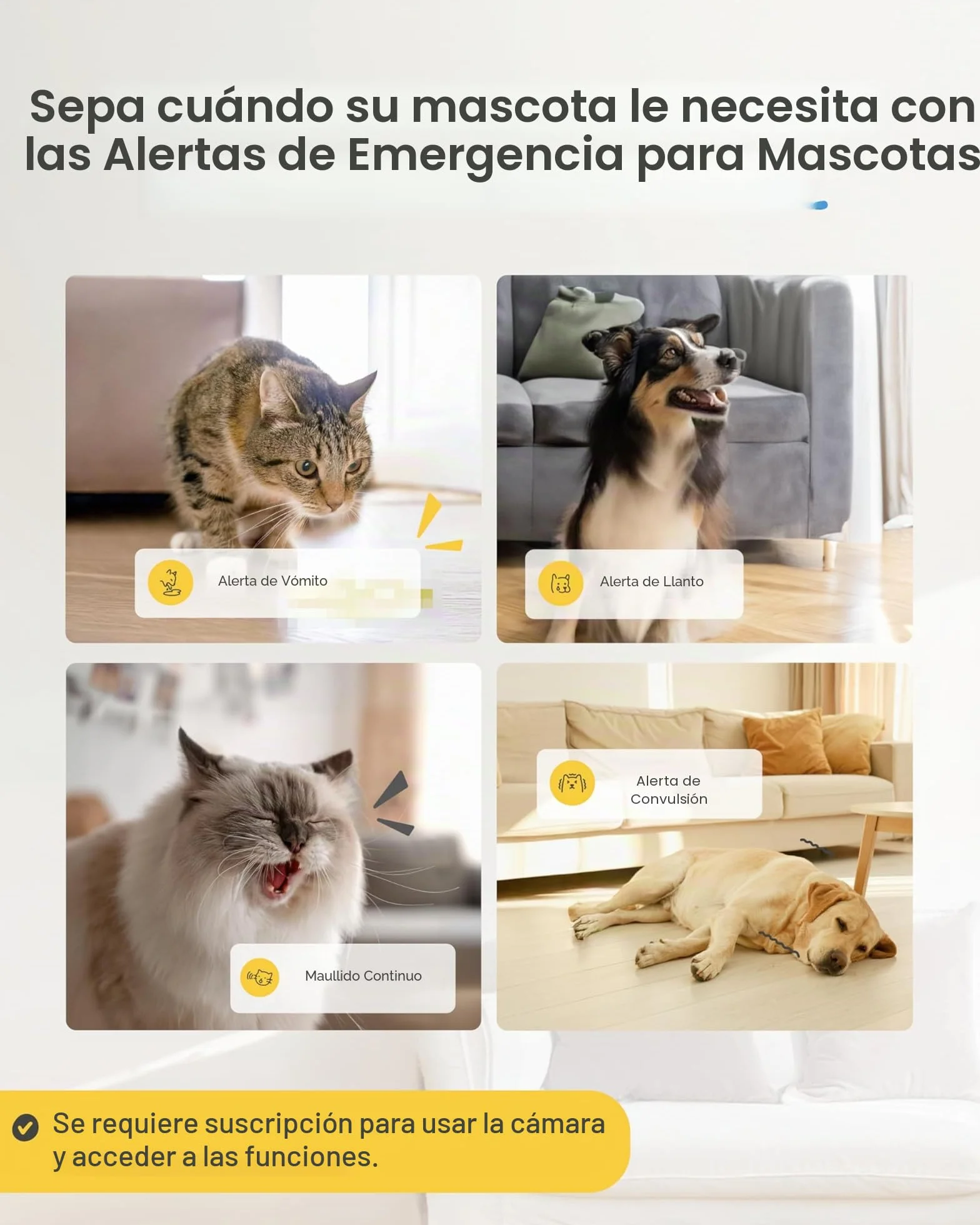 Furbo Mini cámara de 360º para mascotas, desbloquea la cámara inteligente y las funciones inteligentes con plan de pago: seguridad para el hogar y alertas de seguridad para perros y gatos, dispensador
