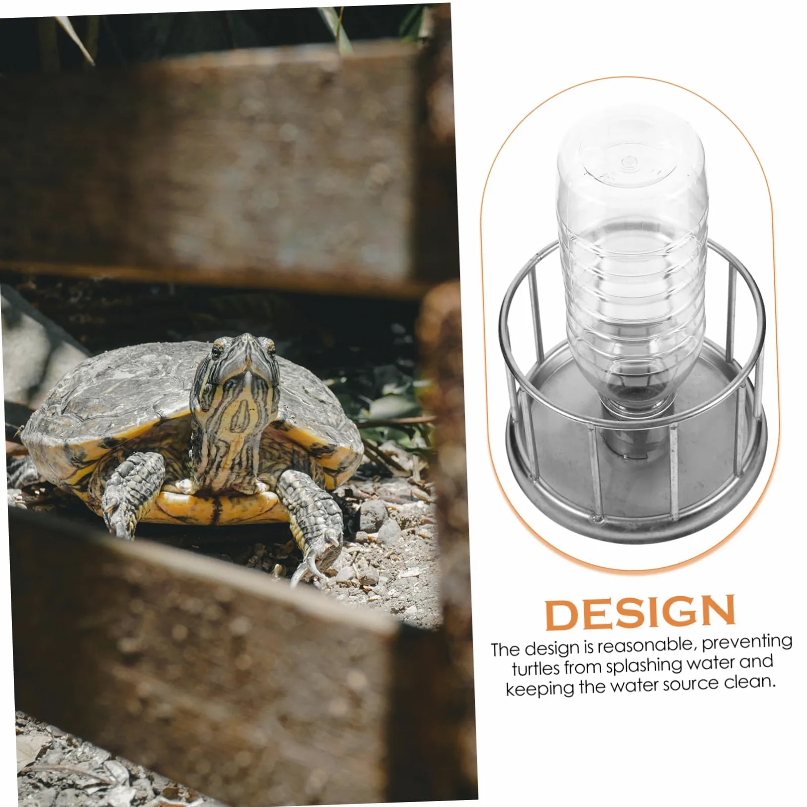 BESPORTBLE 5piezas Alimentador De Reptiles Inoxidable para Tortugas y Plato De Agua y Comida Accesorio para Terrario Diseño Antisalpicaduras y Conveniente