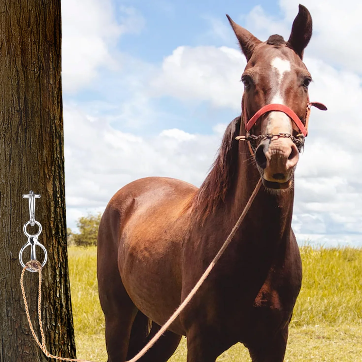 LUTER Anillo de Corbata de Caballo, Anillo de Amarre Bloqueador para Caballos Liberación Rápida Suministros de Tachuelas para Caballos con Perno de Ojo Evita Que el Caballo Tire hacia Atrás