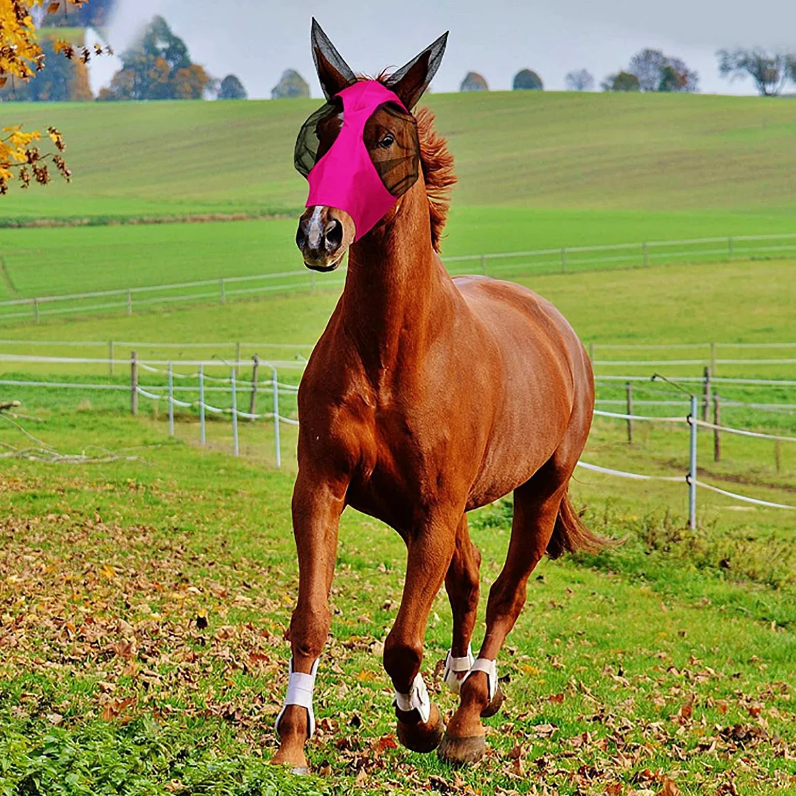 Máscara Antimoscas para Caballos 6piezas,máscara Antimoscas Elástica con Orejas,Cara Cómoda,Transpirable Y En Forma,Proporciona Un 60% protecciónsolar Y 100% antimosquitos,para Hipódromo Granja