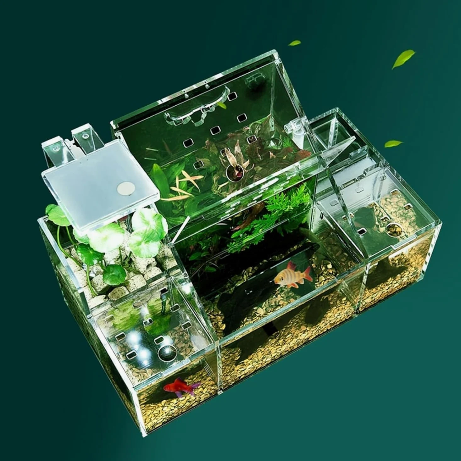 Castillo de hormigas de acrílico Caja de aislamiento especial for incubación de acuicultura de escritorio, bomba de filtro de agua circulante, decoración for pecera de oficina en casa, pecera for pece