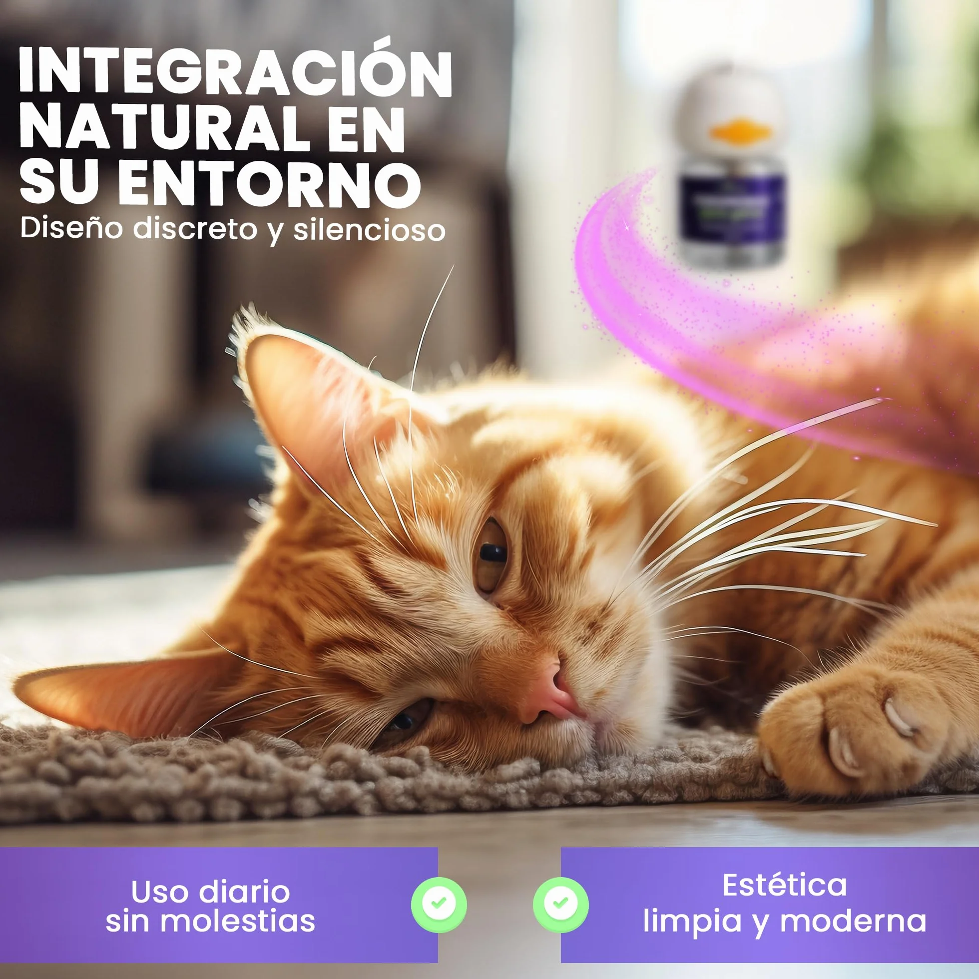 Feromonas para Gatos - Difusor + 2 Recambios (60 días, 48 ​​ml) - Ayuda a Crear Armonía y Reducir Conflictos Entre Gatos como el Estrés, Arañazos, Miedos, Cambios, Marcaje con Orina.