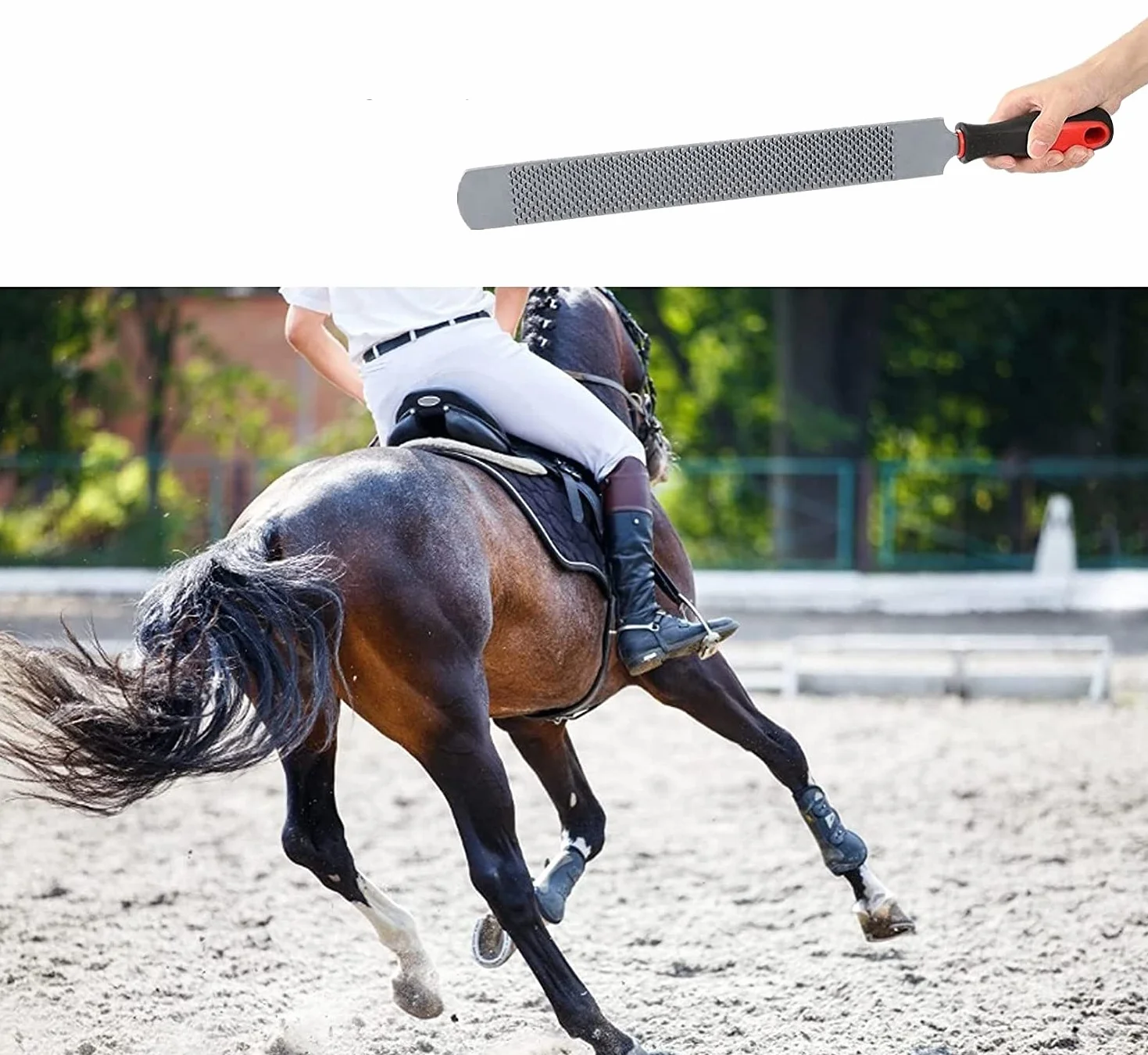 Zerodis Herramientas de Corte de pezuña Raspador de pezuña de Doble Cara Archivo de pezuña de Caballo Cuidado de pezuñas para Caballos Herramienta Profesional de herrador