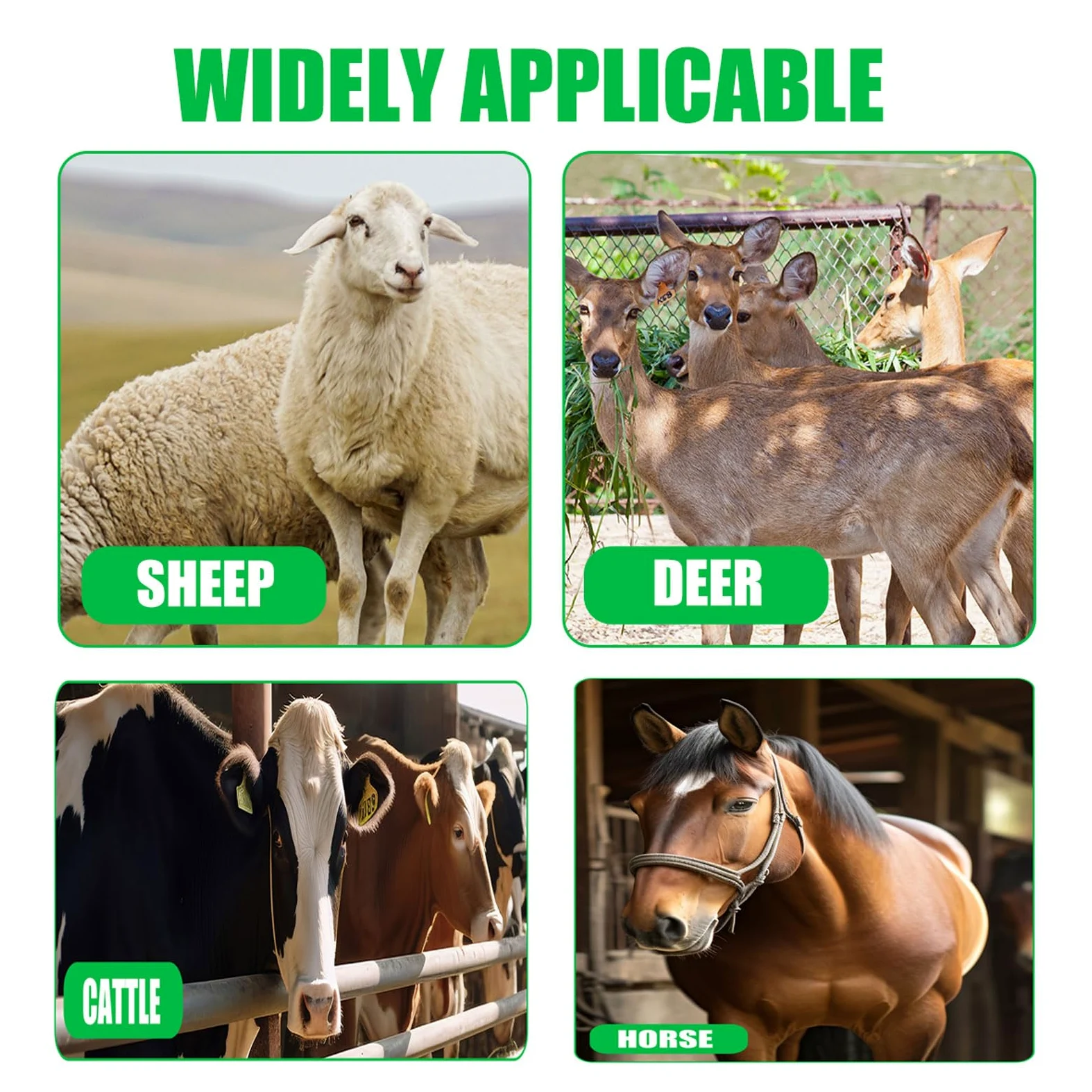 4pcs Cepillo para rascar ganado,Rascador Grande ,raspador semicircular Cepillos de masaje ,alivia la picazón,Resistentes y Fáciles de Instalar,Para Caballos,Cabras,Ganado Vacuno Y Vacas