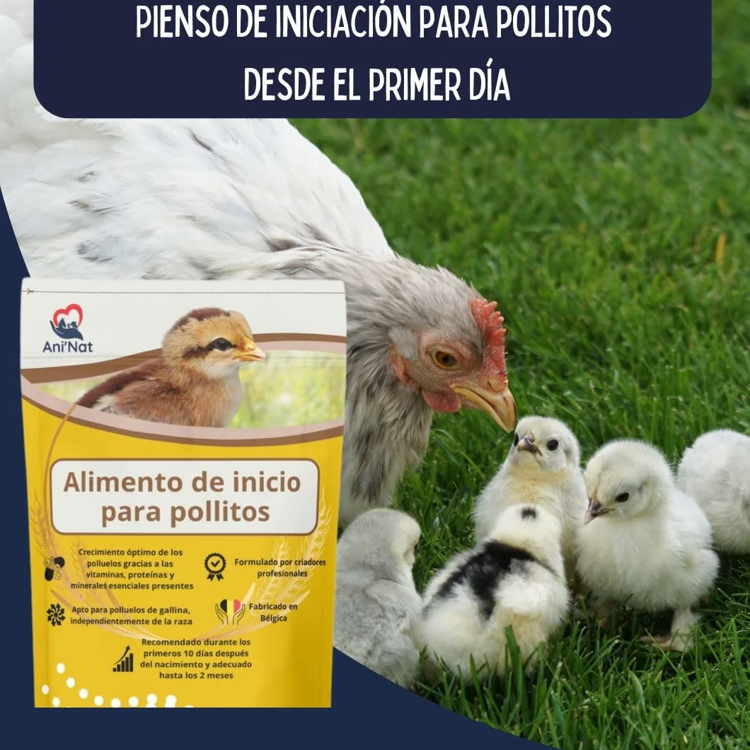 AniNat Alimento de Inicio para Pollitos, Comida de Primera Edad con vitaminas, proteínas y minerales, aceites Esenciales. Apto Desde el Nacimiento. Sin OGM. Sin antibióticos