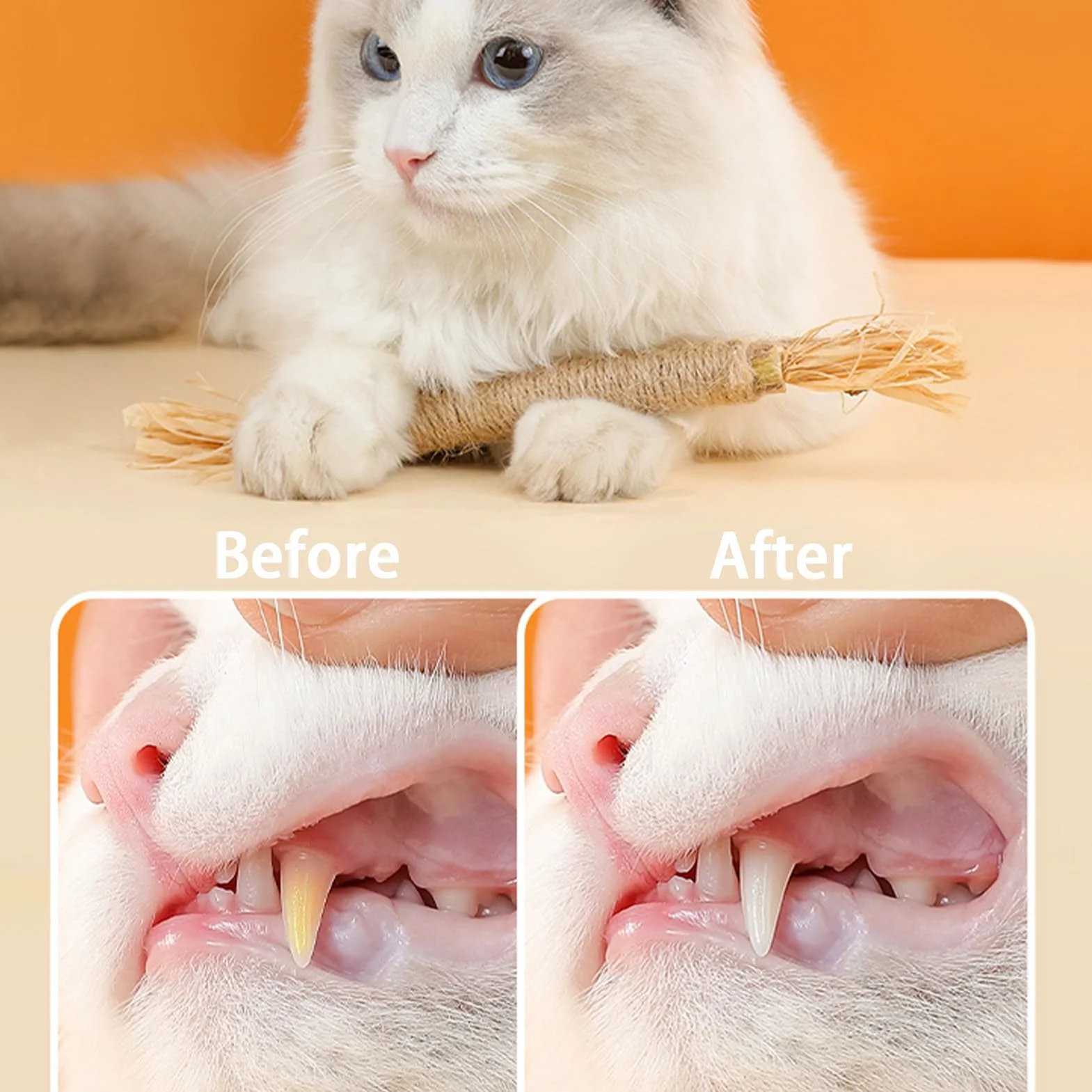 4 Piezas Masticar Palos Gato,Palitos de Hierba Gatera,Palitos para Masticar Gato Juguete,Cuidado Dental,para Limpia los Dientes Juguetes del Catnip