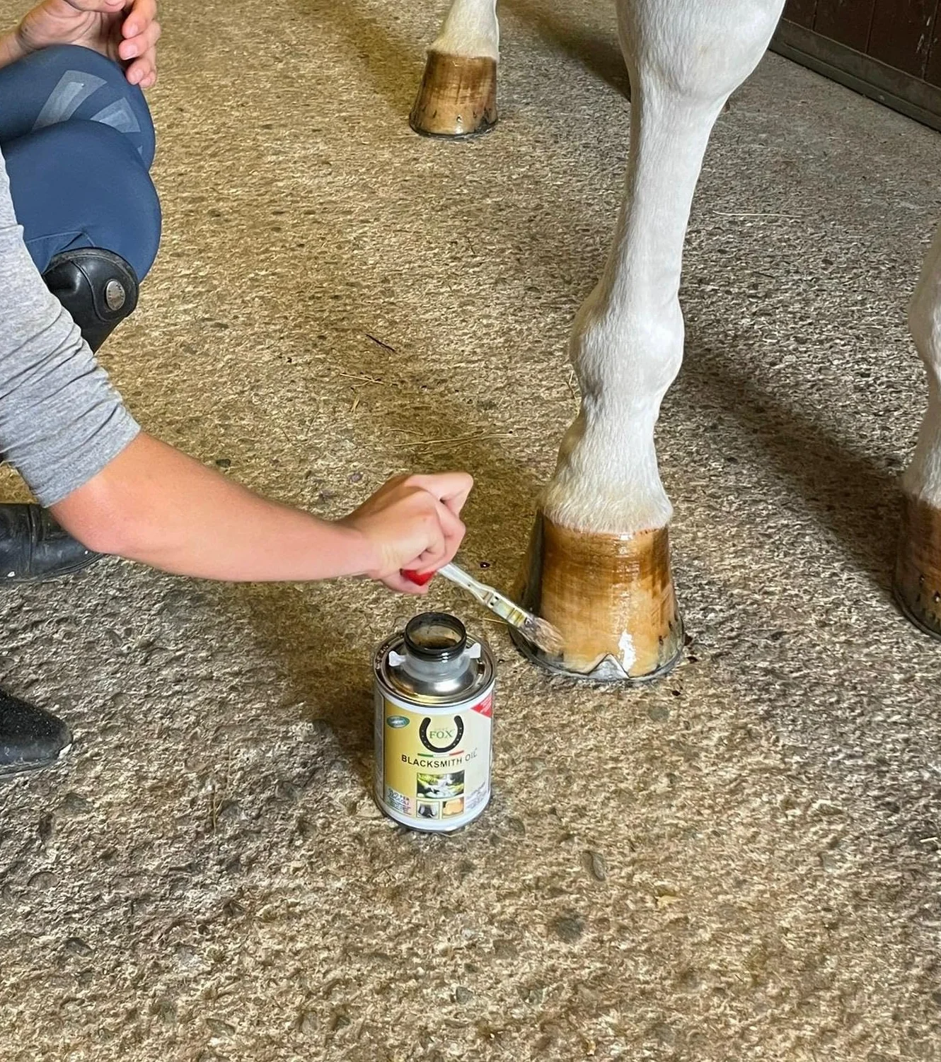 Lucky Fox BLACKSMITH OIL, Higienizante Hidratante para Cascos del Caballo, Garantiza Elasticidad de la Pezuña, crea una Barrera Natural a los Agentes Externos, 500 ml