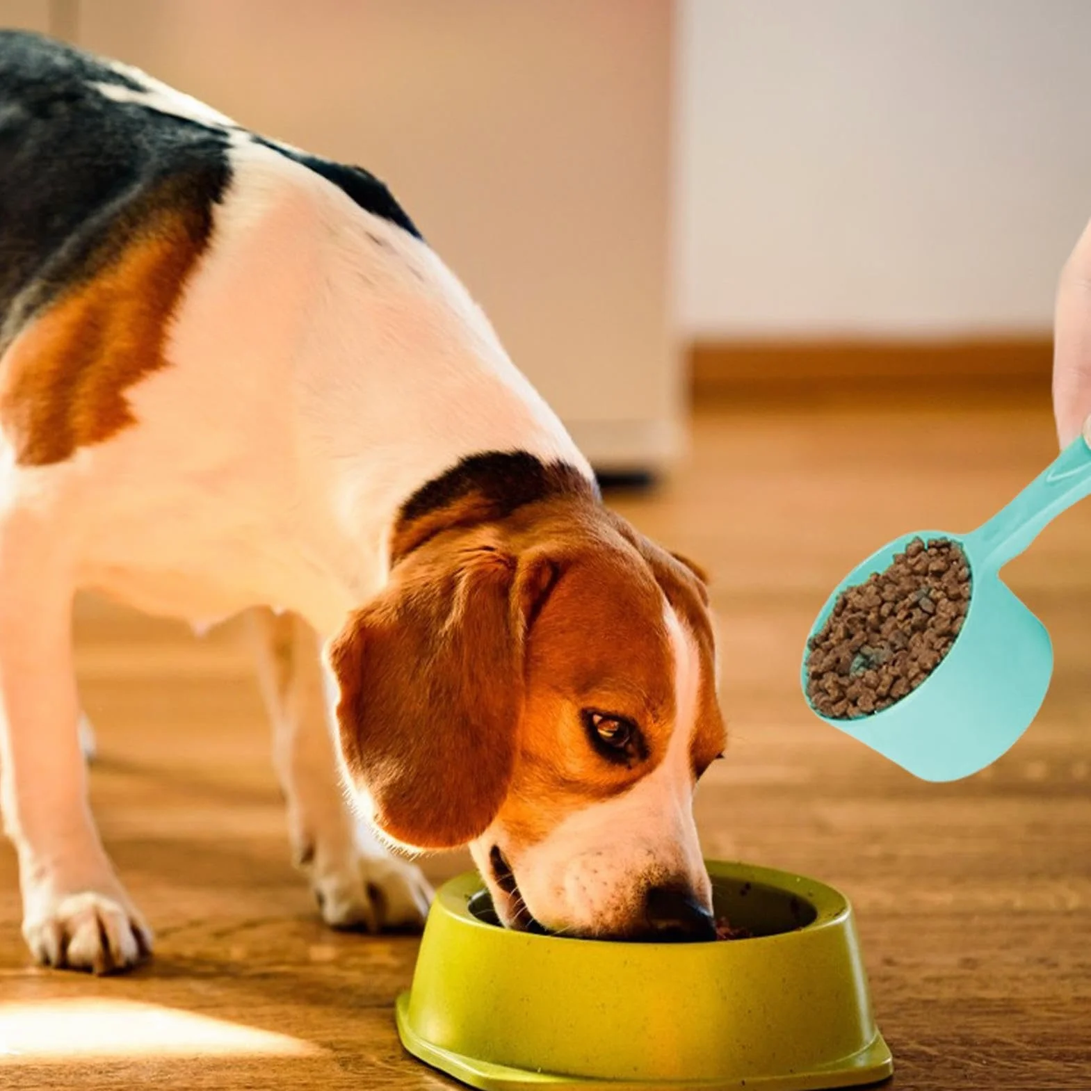 Cuchara medidora de comida para perros – Cuchara de melamina de 100 g de capacidad para cachorros | Cuchara de alimentación para mascotas con agarre cómodo, pala de control de porciones para