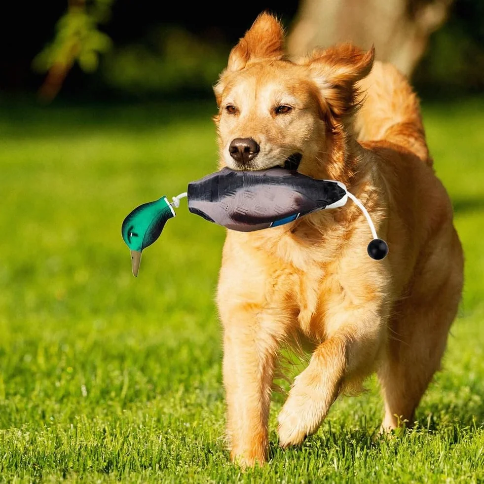 Parachoques de pato imita juguete entrenamiento cachorros perros caza