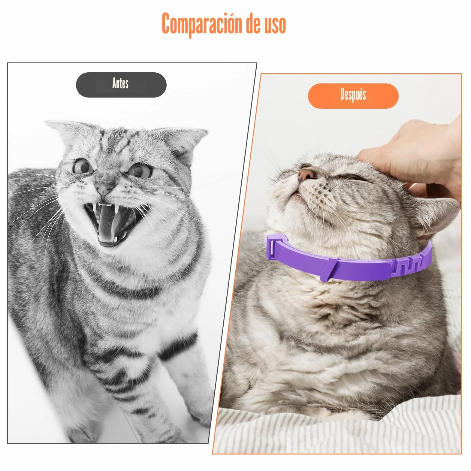 Collar calmante para gatos de 4 piezas, antiestrés natural con feromonas, color púrpura, talla ajustable y efecto 30 días, para gatitos y gatos adultos
