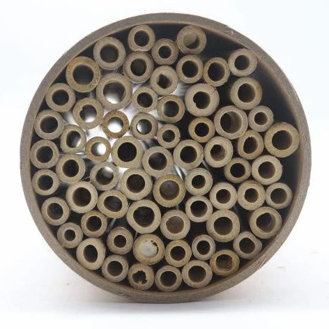 50 tubos de bambú de 10 cm de longitud para construir uno mismo, reutilizables, para casa de insectos, hotel de abejas silvestres, abejas silvestres, hotel de abejas silvestres