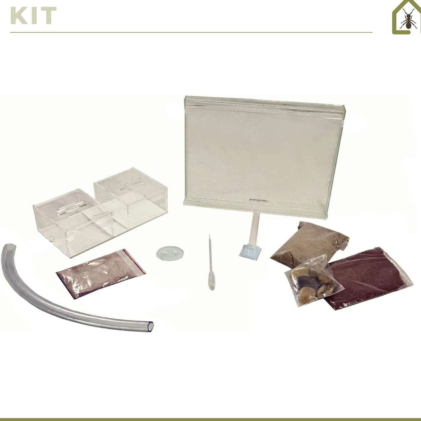 Anthouse.es - Hormiguero Natural de Arena - Kit Medium Hormiguero Acrílico (Sándwich + Caja de Forrajeo) - Granja de Hormigas con Colonia de Hormigas Incluida - 25x20x1,8 cm y 20x12x12 cm