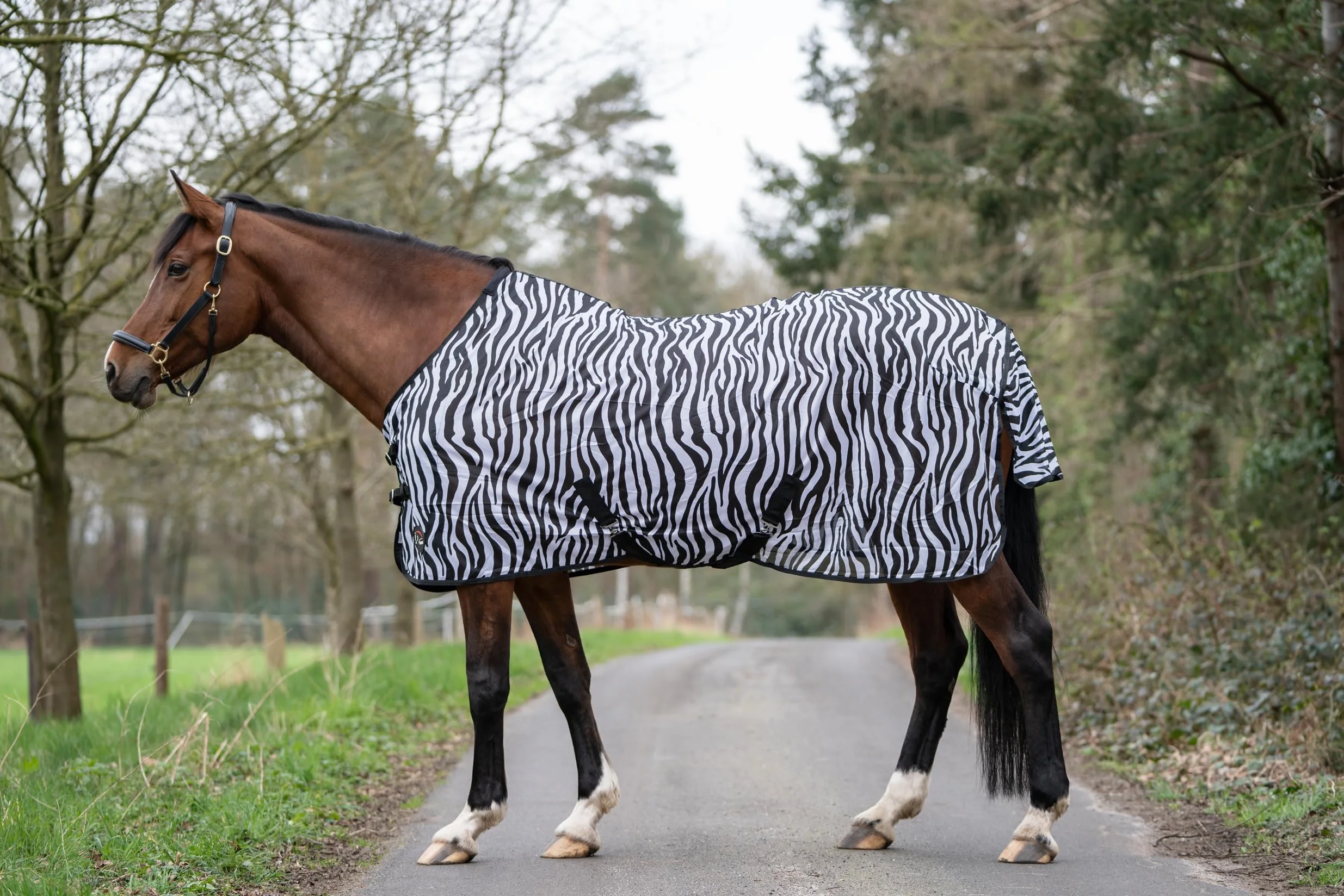 HKM Zebra Manta Anti-Moscas con cinturón Cruzado Blanco/Negro 125