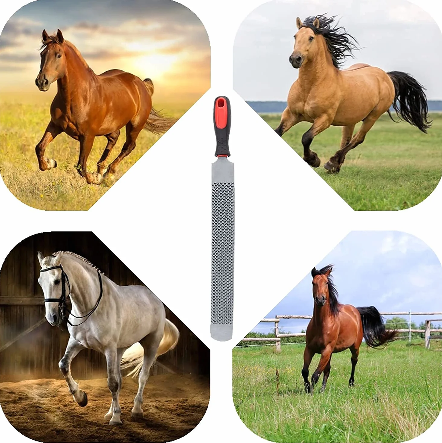 Zerodis Herramientas de Corte de pezuña Raspador de pezuña de Doble Cara Archivo de pezuña de Caballo Cuidado de pezuñas para Caballos Herramienta Profesional de herrador
