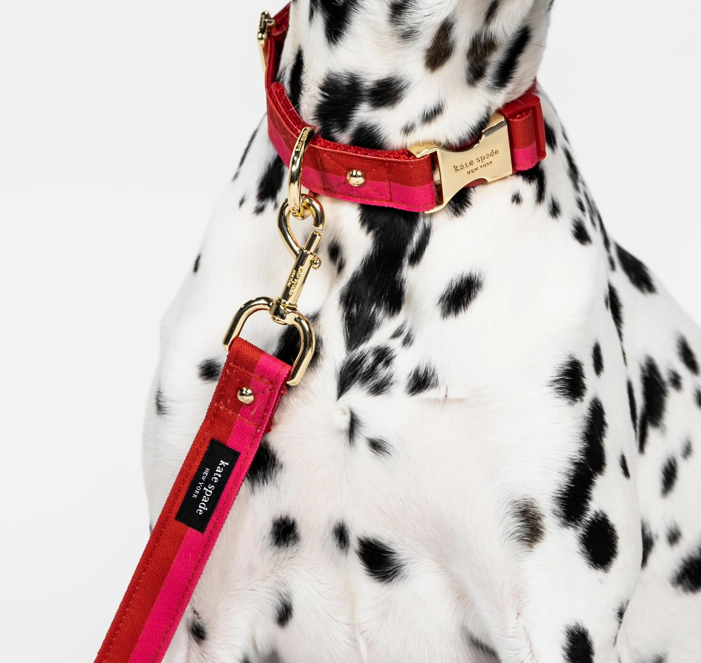 Kate Spade New York Correa de perro de 6 pies, correa resistente para perros hembras o machos, bonita correa para mascotas con herrajes de metal dorado, correa larga para perros para razas medianas y