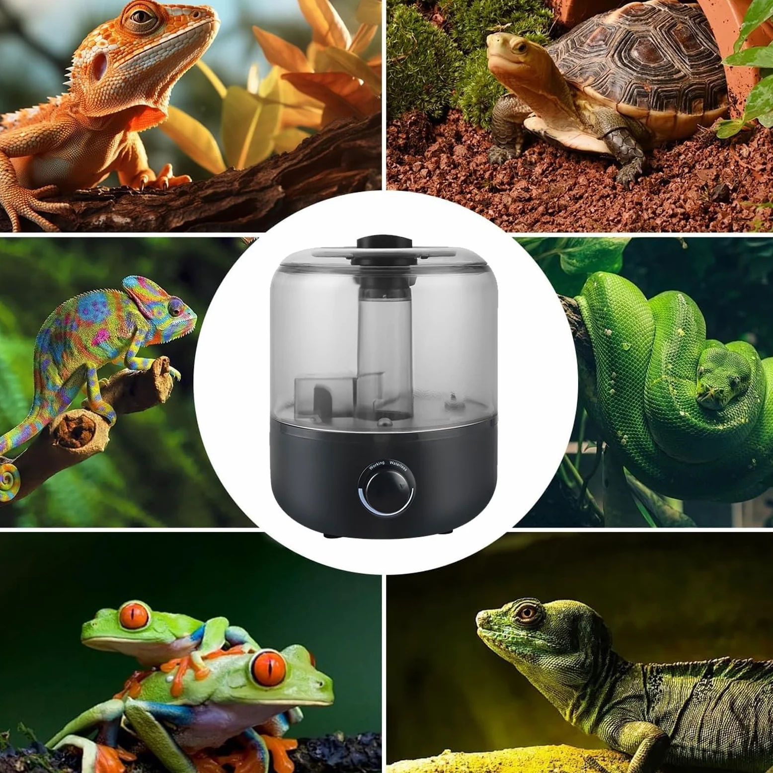Humidificador Nebulizador para Reptiles, 3L, Tanque Visible, para Terrarios de Reptiles y Anfibios, con Boquilla de Manguera(Size-1)