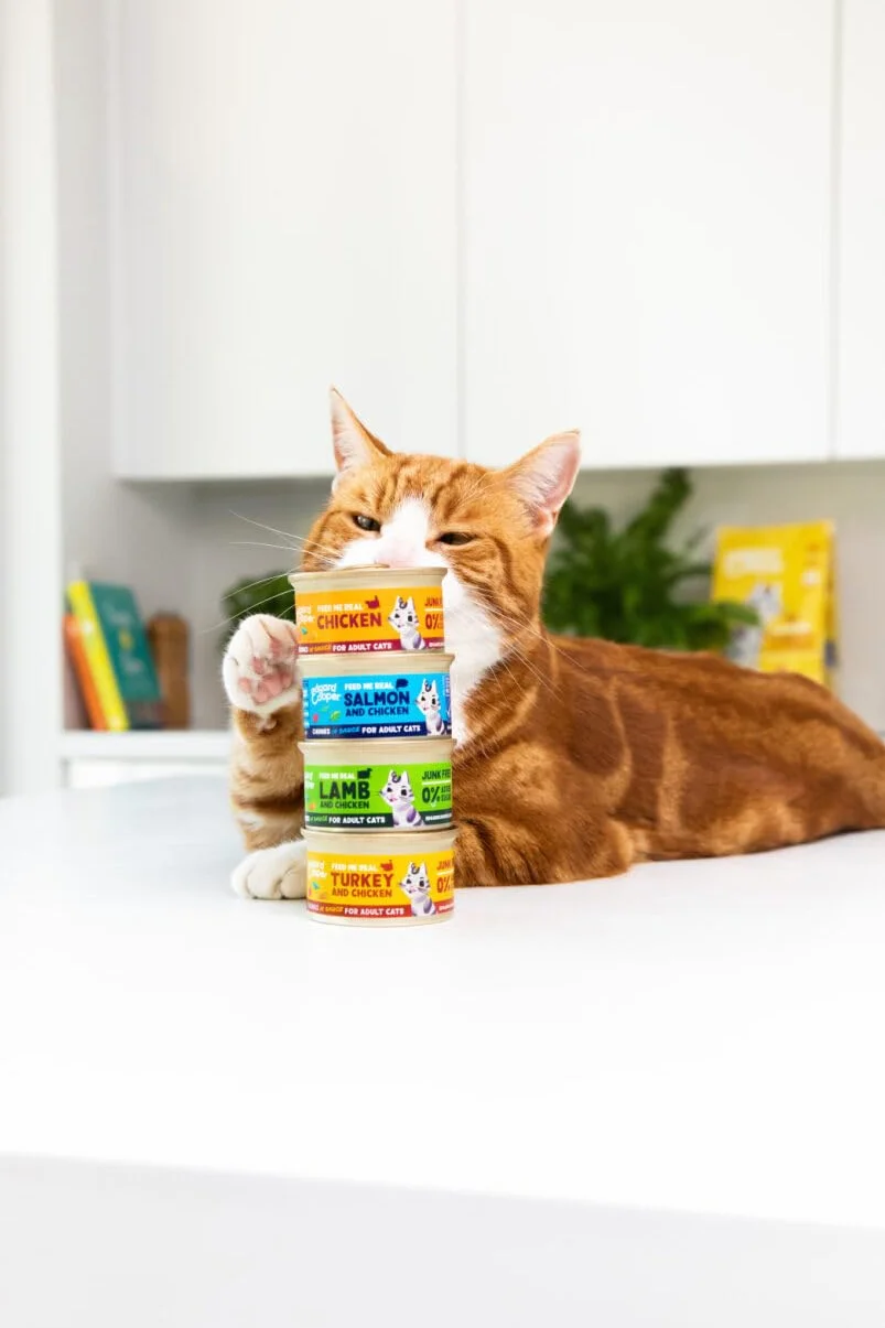 Edgard Cooper Comida húmeda para Gatos, Multipack, (Pollo/Salmón/Pavo/Cordero, 24 x 85g) trocitos en Salsa, para Gatos esterilizados o Activos, Carne Fresca con Ingredientes Naturales