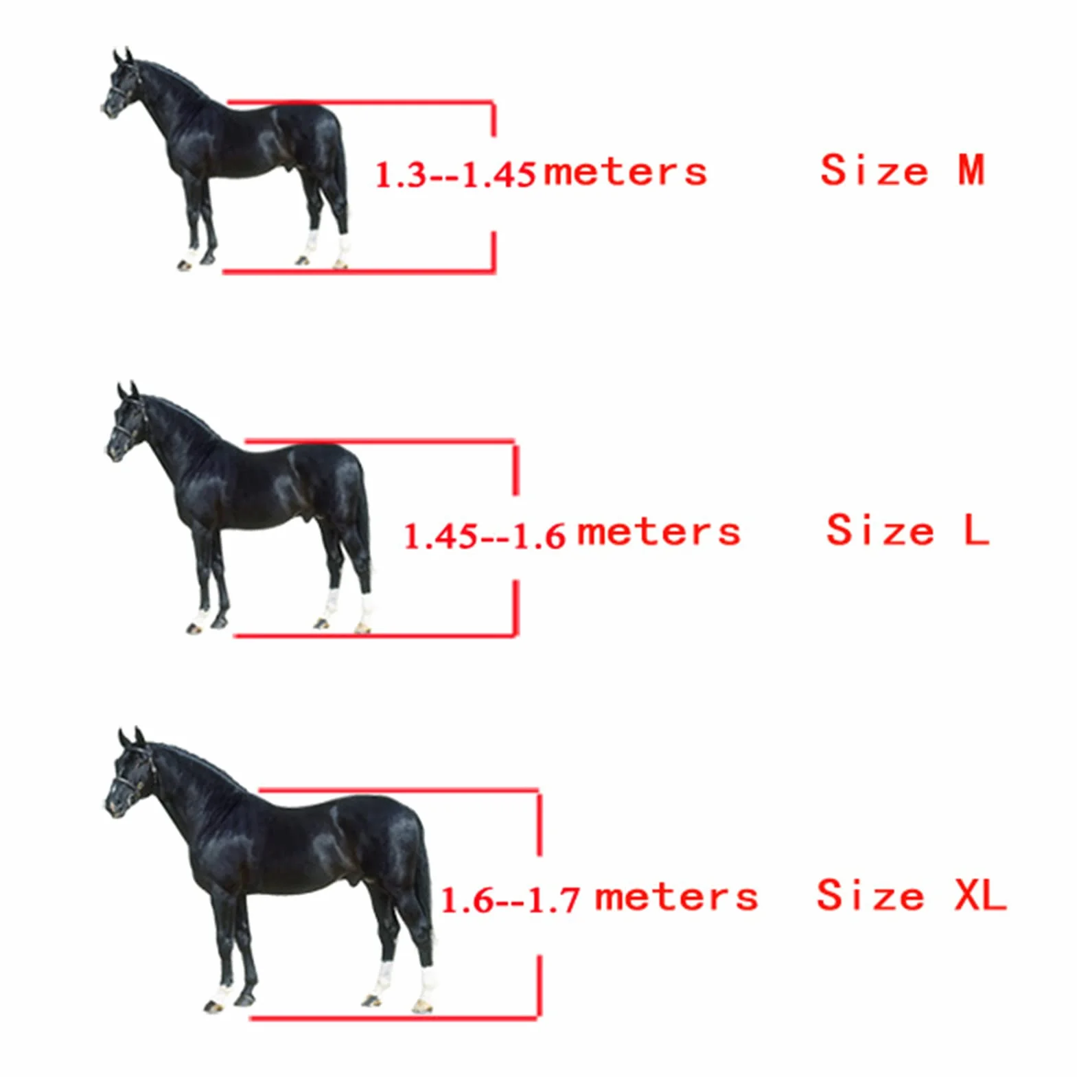 Cyrank 2 Botas Protectoras para Tendón De Caballo, Botas para Caballos, Patas Delanteras, Botas De Soporte para Patas Delanteras De Caballo, Entrenamiento De Resistencia (L)