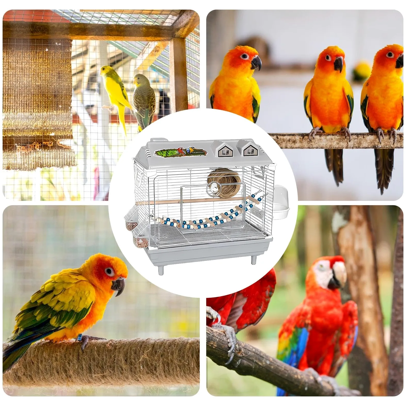 Jaula Para Ninfas Transportín Transparente Portátil Para Cacatúas Ninfa | Jaula para Canarios con de Madera para en Interior para Cacatúas, Guacamayos, Conuros, Agapornis y Pinzones