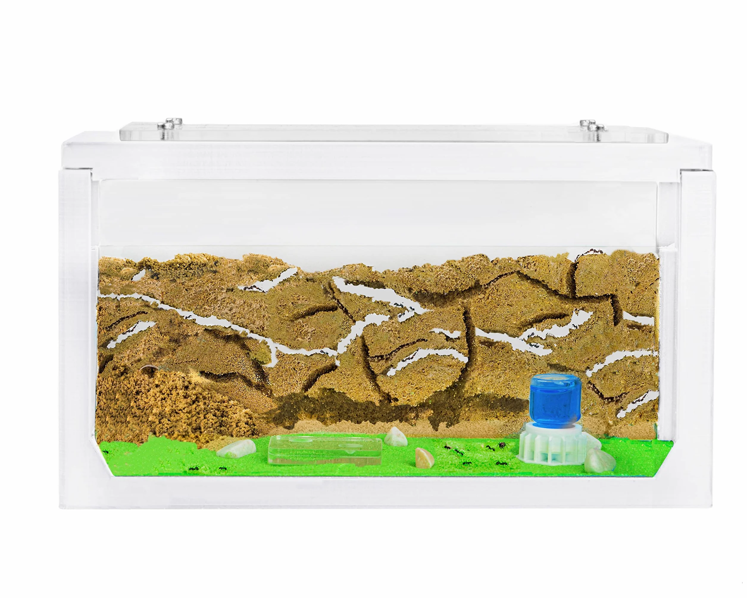 AntHouse.es - Hormiguero de Arena 3D | Kit de Inicio 20x10x10 cm | Granja de Hormigas Color Blanco | Hormigas Incluidas